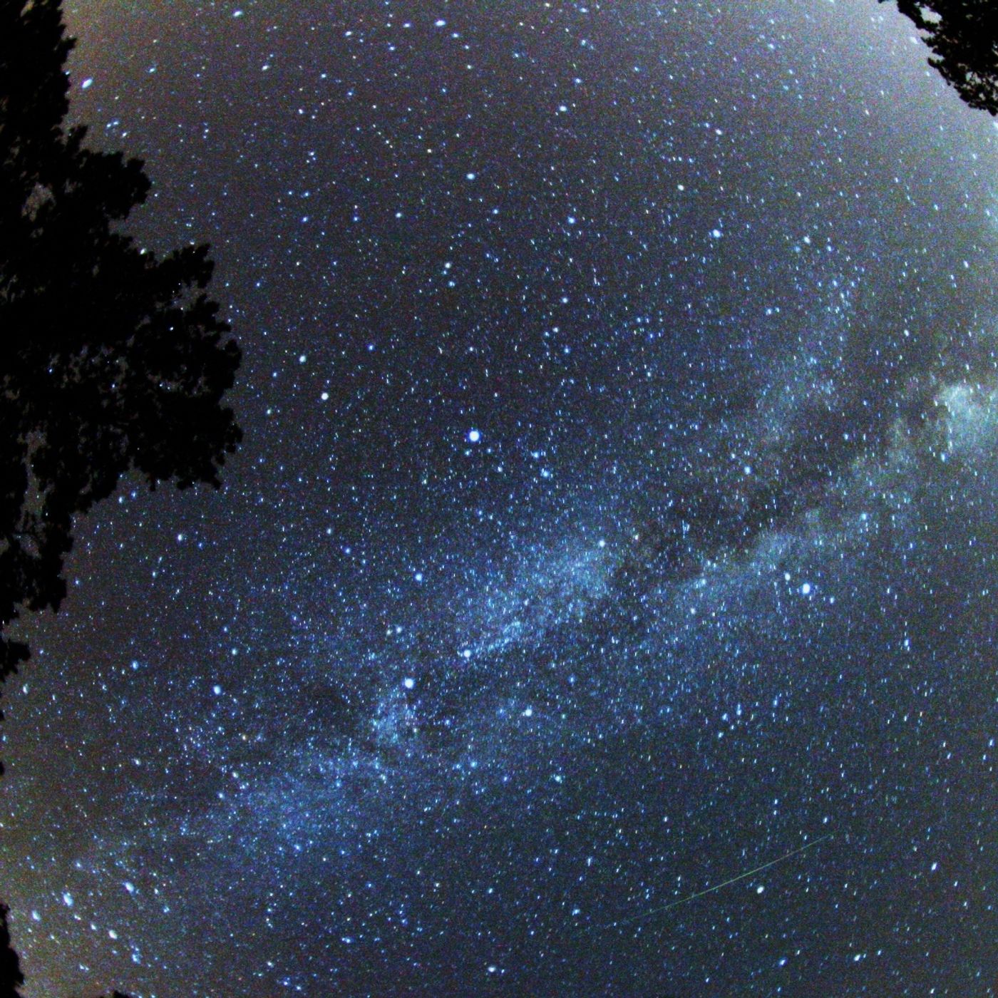 "Light: To See and to Know"