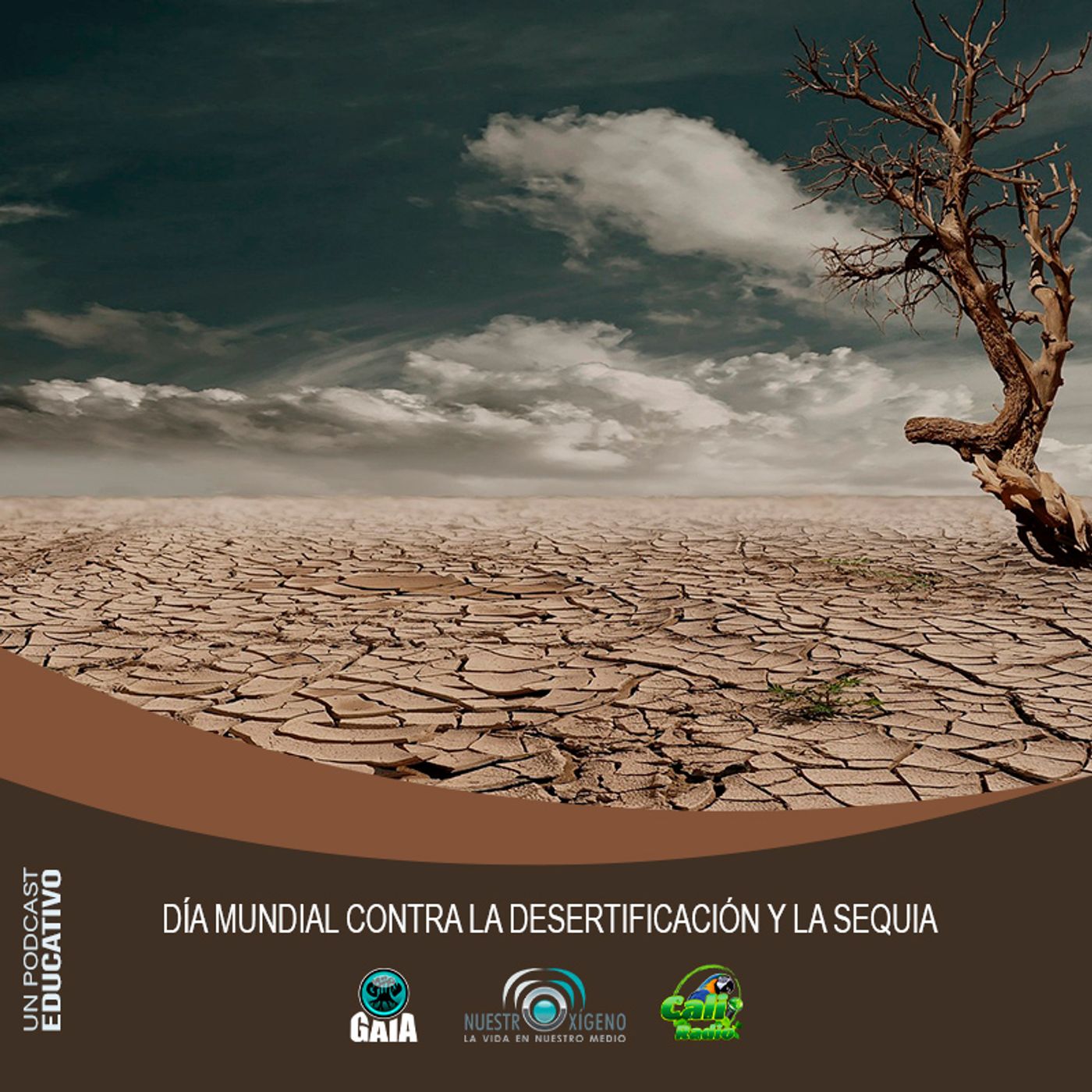 2023 Nuestro Oxigeno 06- Junio