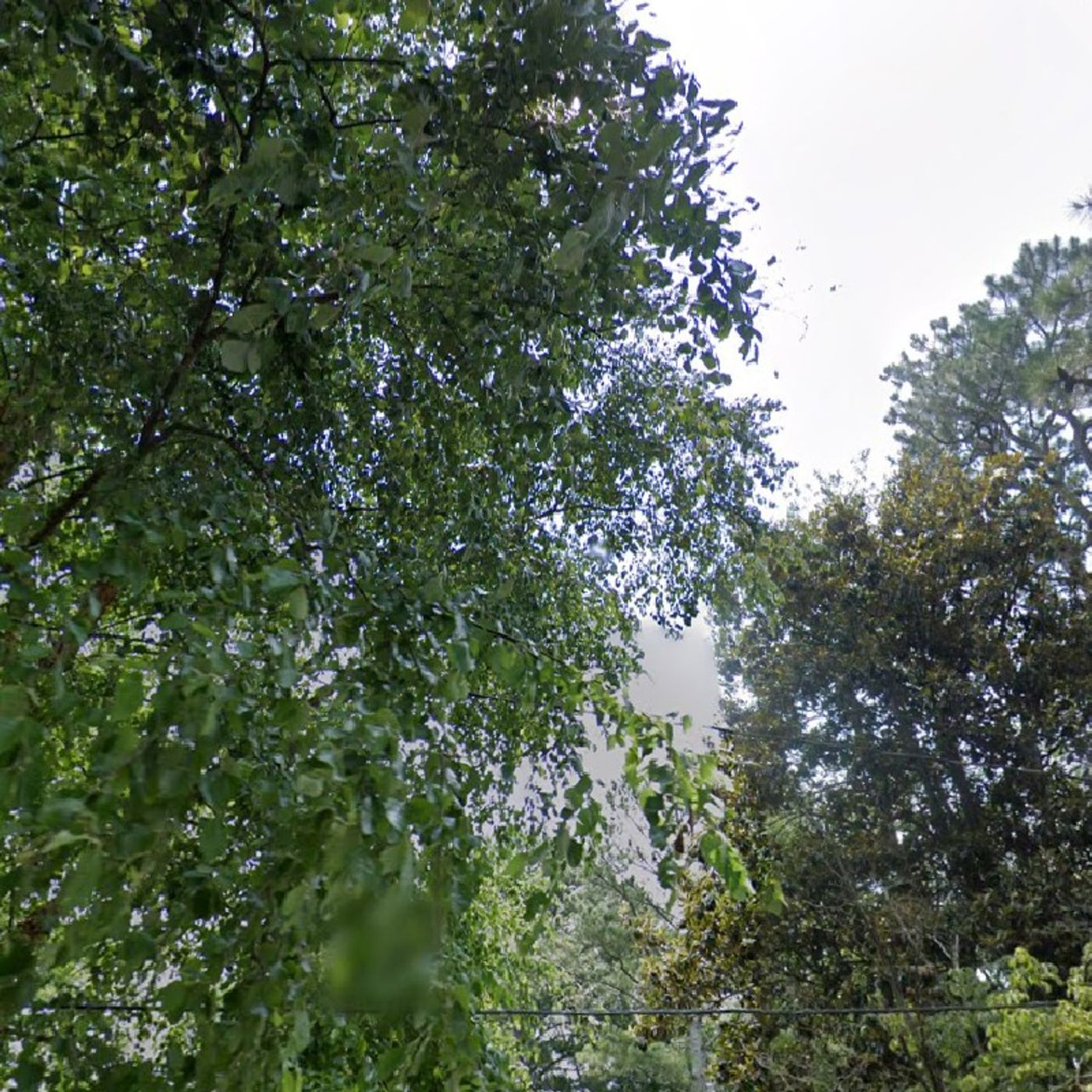 HOW THE WORLD IS ENDING? HEAR.