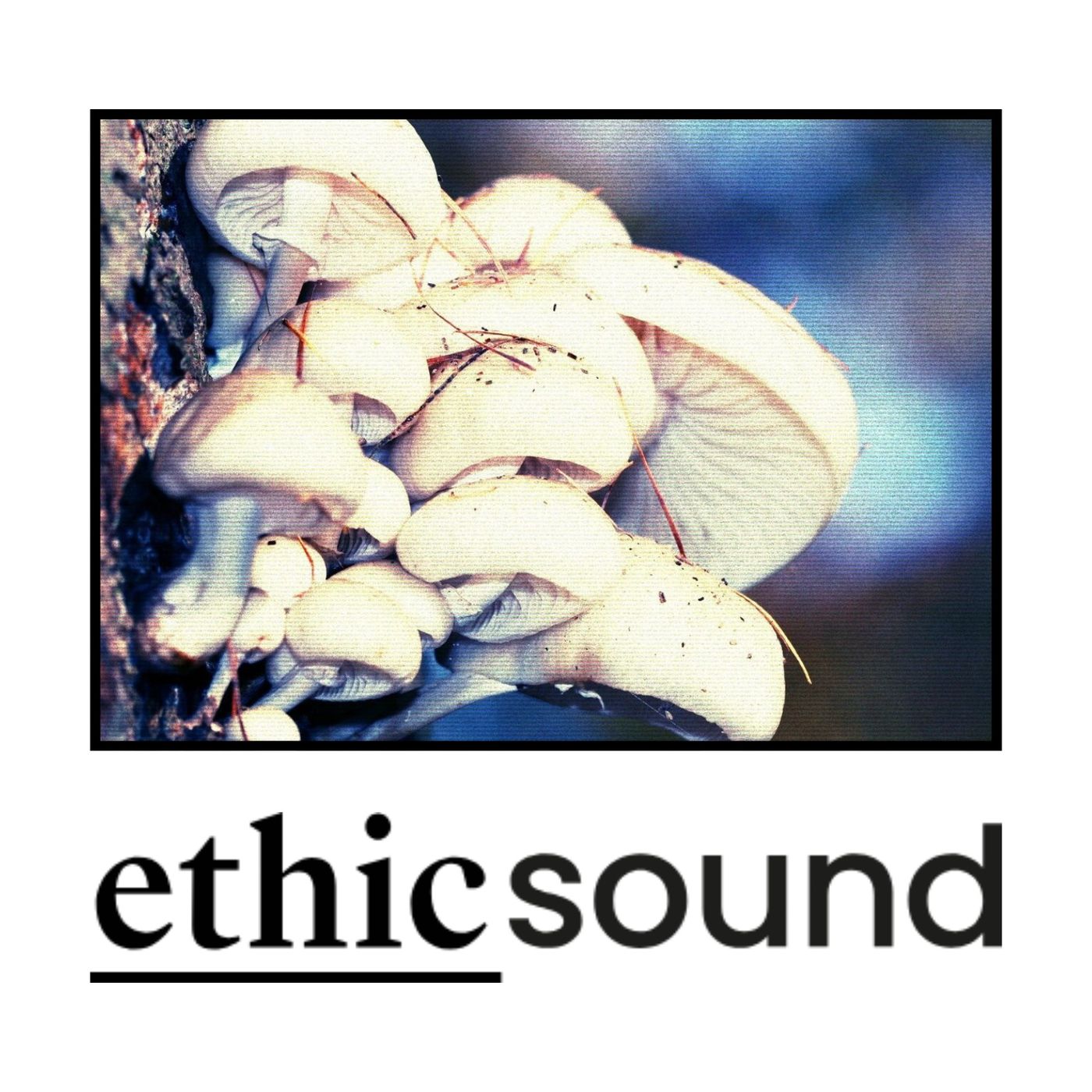 Artwork for EthicSound