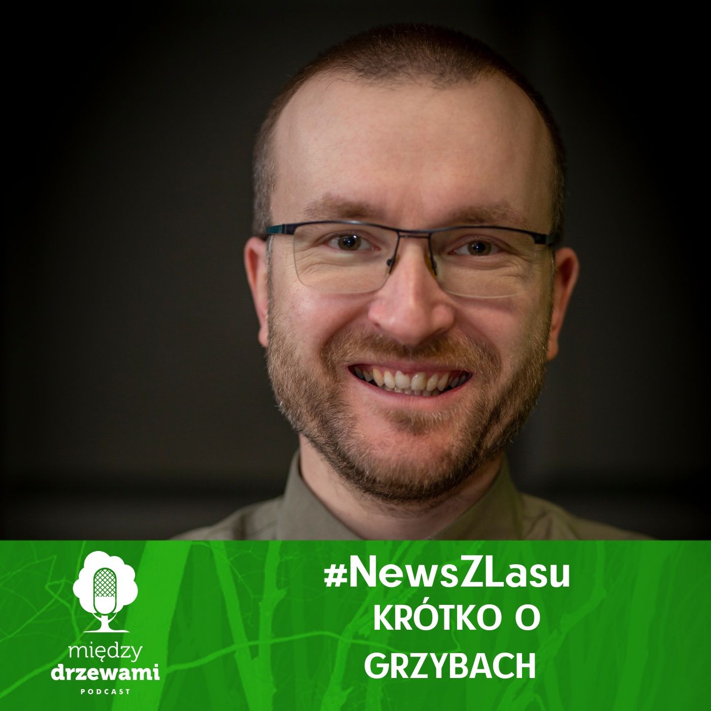 Między Drzewami Podcast