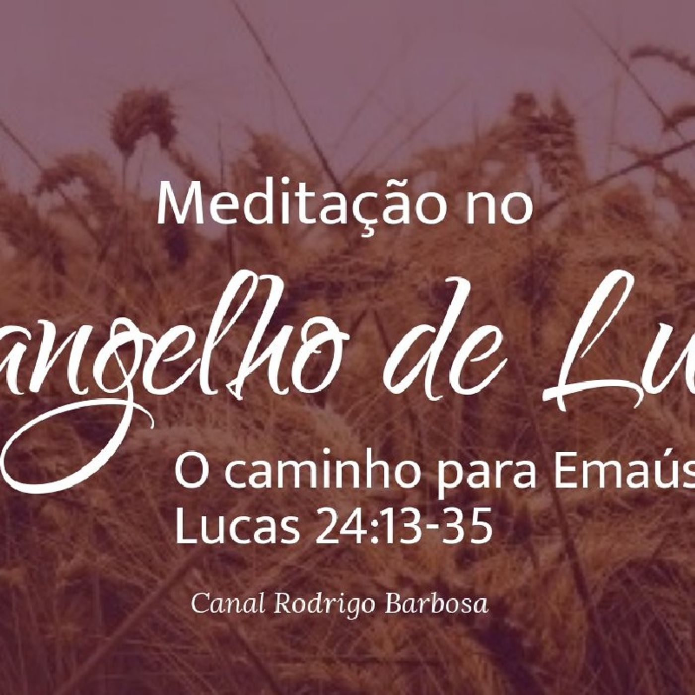 Rodrigo Barbosa