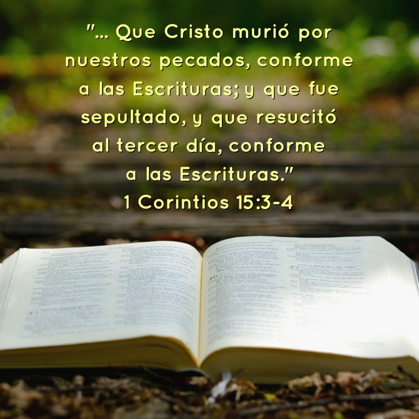 Ministerio UMCD - Un Momento Con Dios | Reflexiones Cristianas