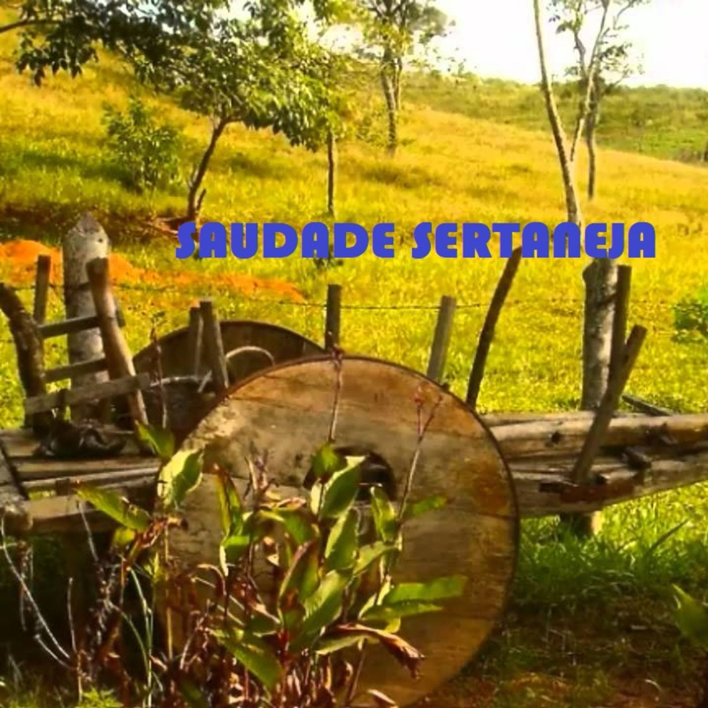 Bate Papo com Rodrigão