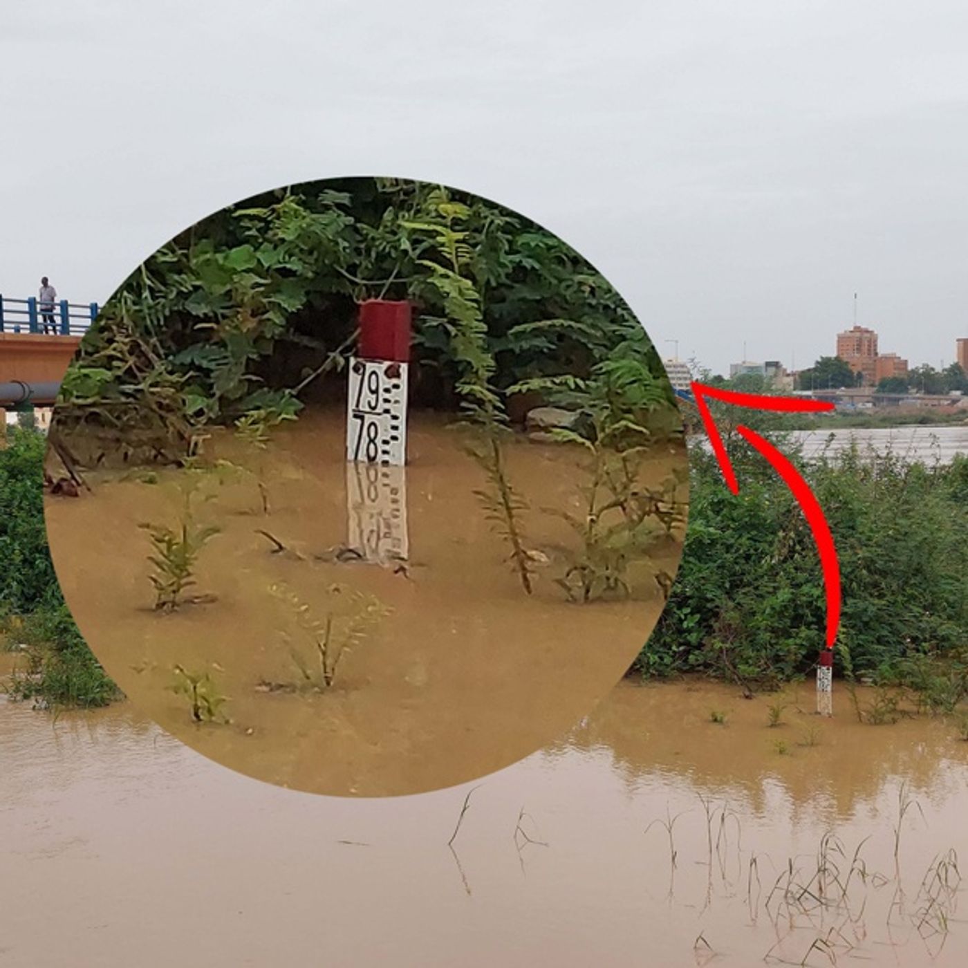 Crue du fleuve Niger à Tillabéry, vivierains en alerte episode artwork
