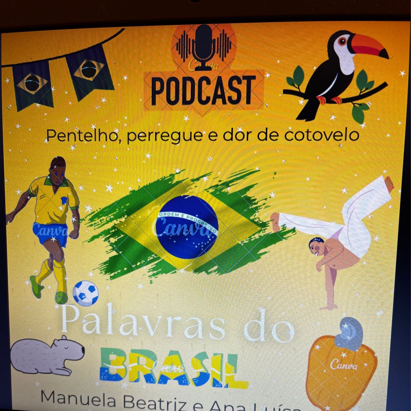 🫶 Podcast Palavras do Brasil 🇧🇷 podcast artwork