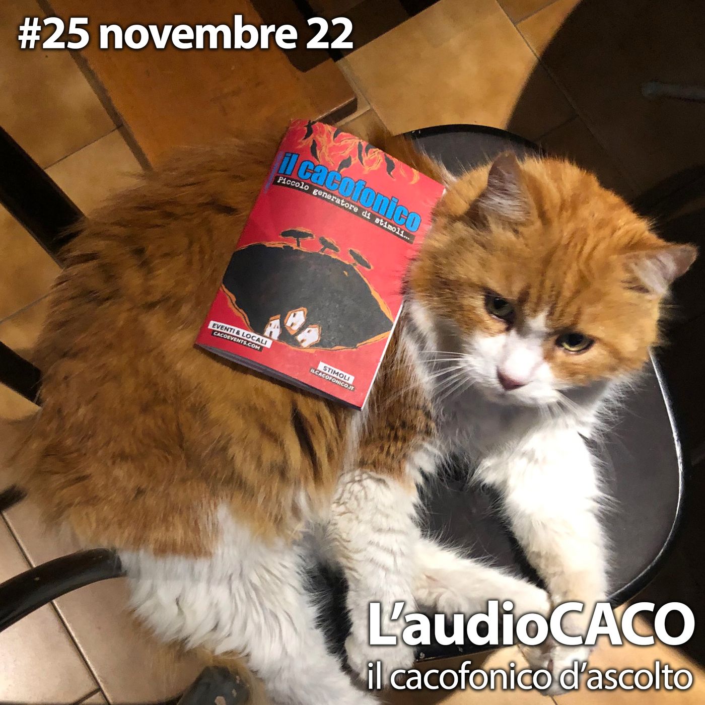 l\'audioCACO