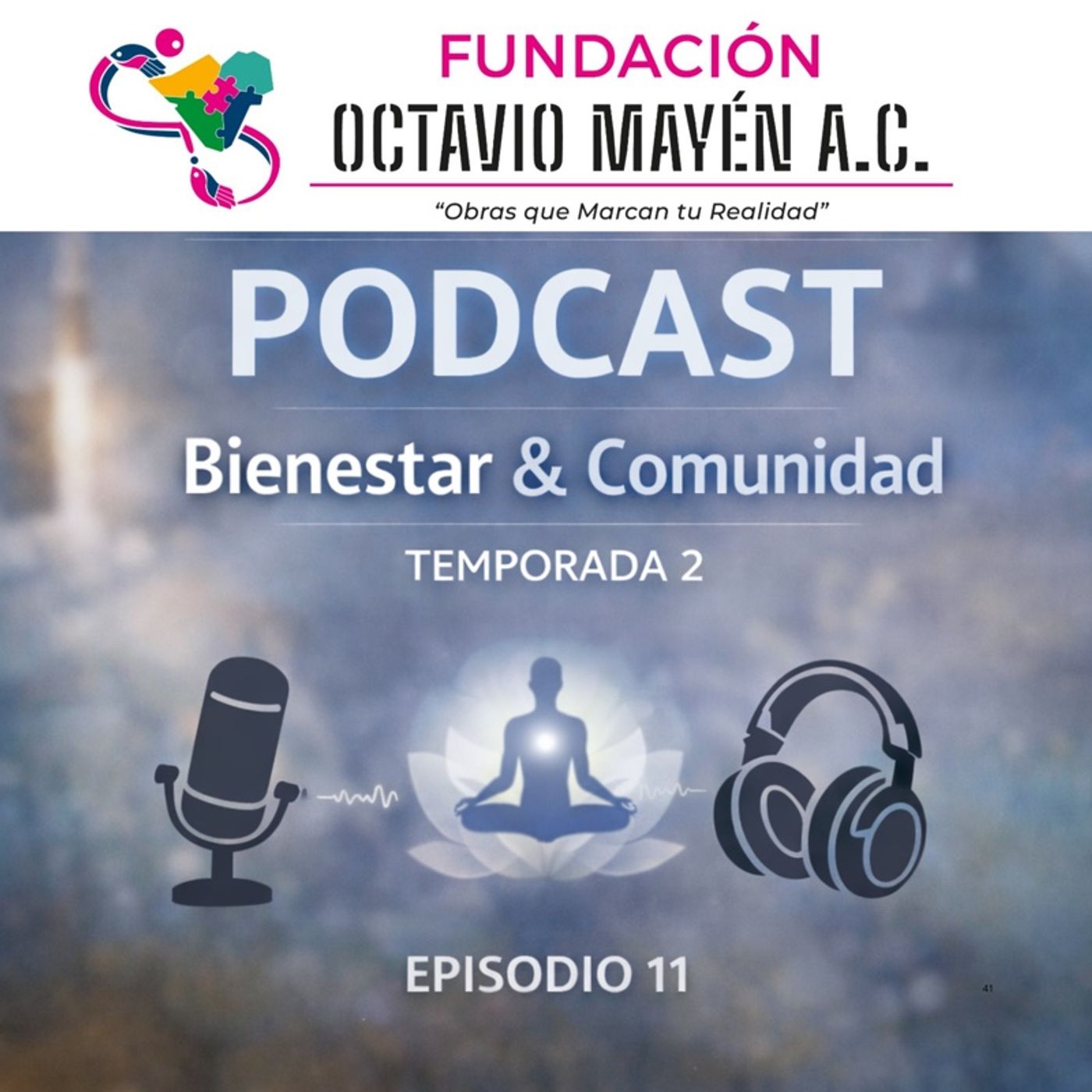 T2 Episodio 11 .- Bienestar y comunidad episode artwork