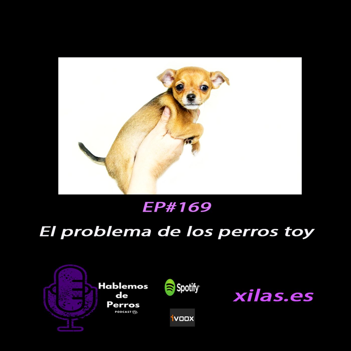 Hablemos de perros