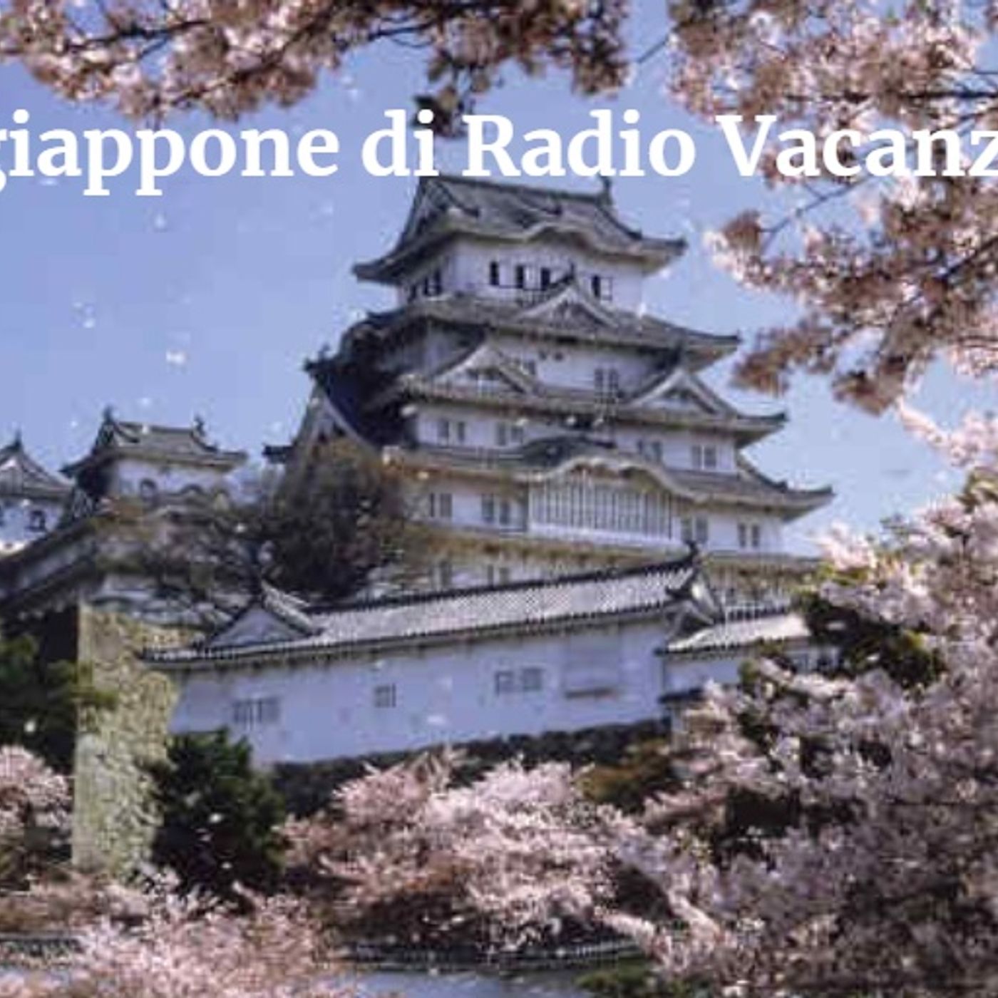 Vacanze alla radio