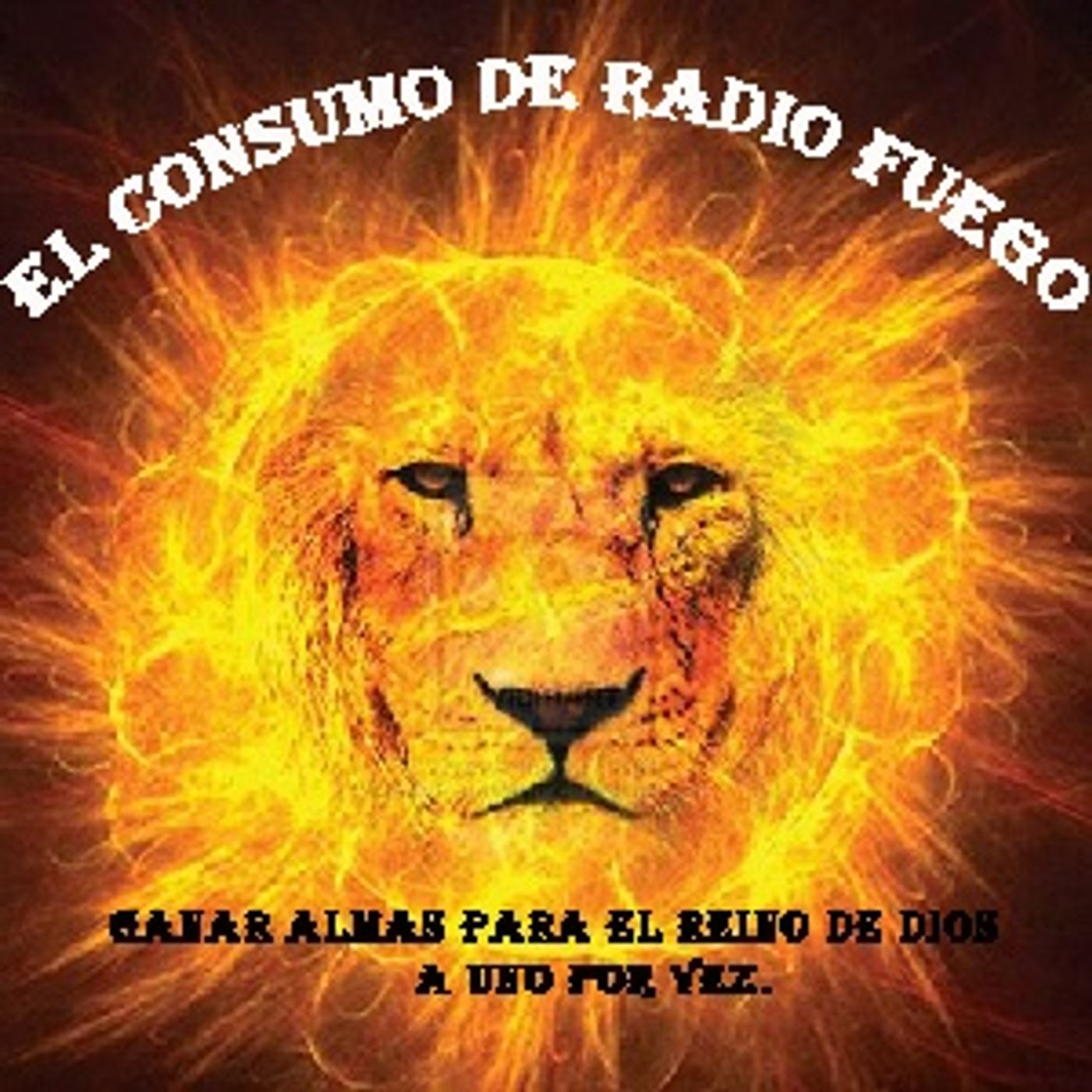 EL CONSUMO DE RADIO FUEGO