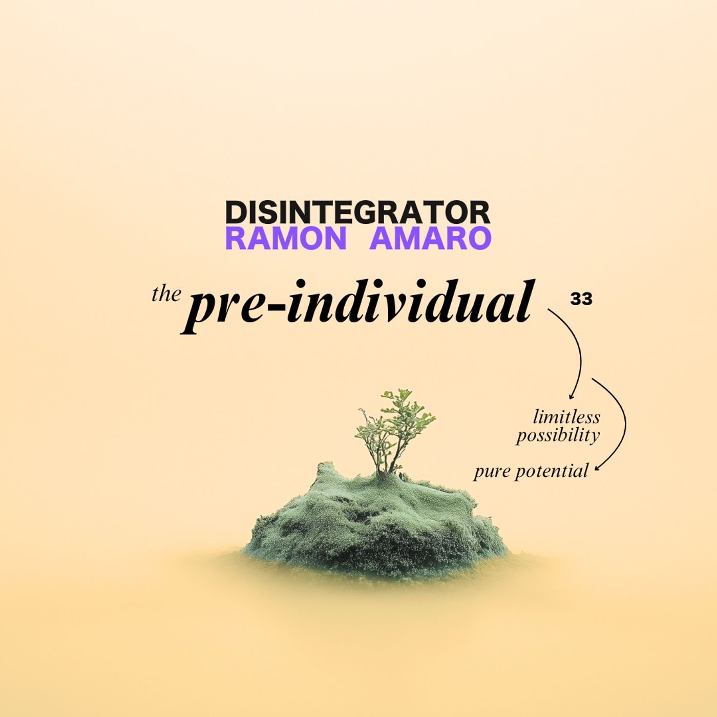 35. The Pre-Individual (w/ Ramon Amaro)