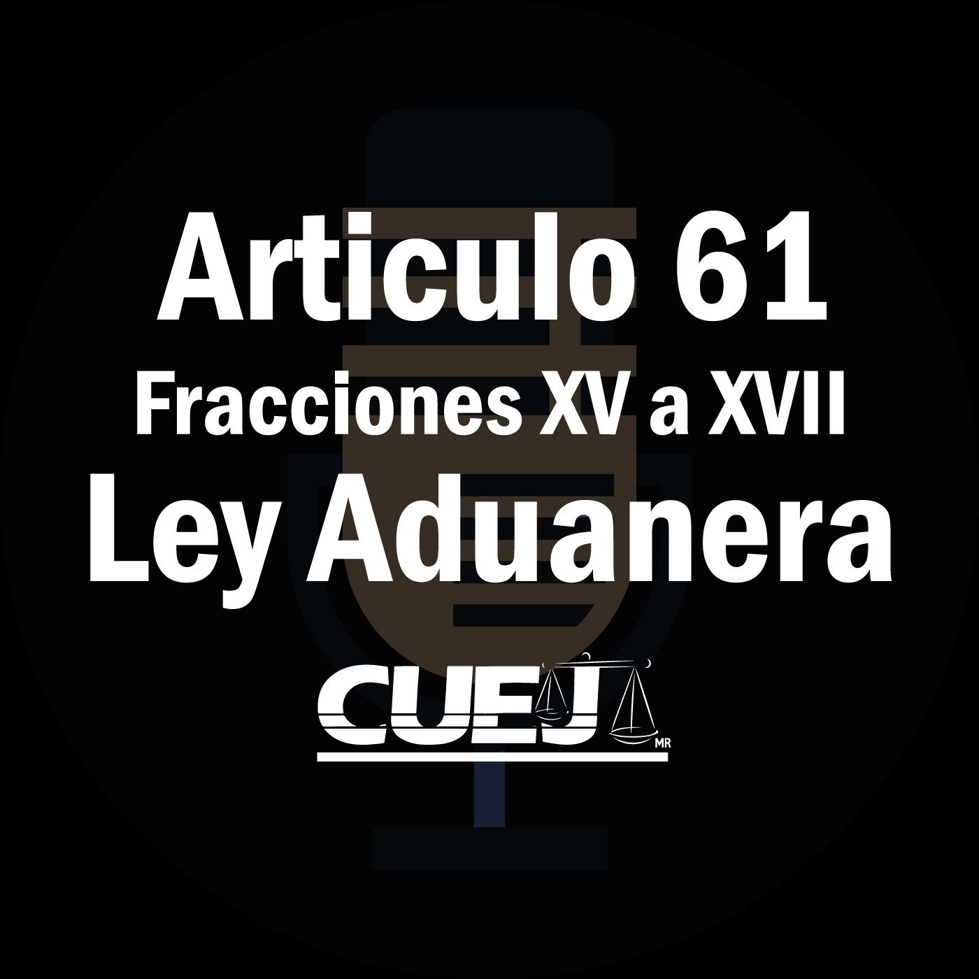 Audio Ley Aduanera