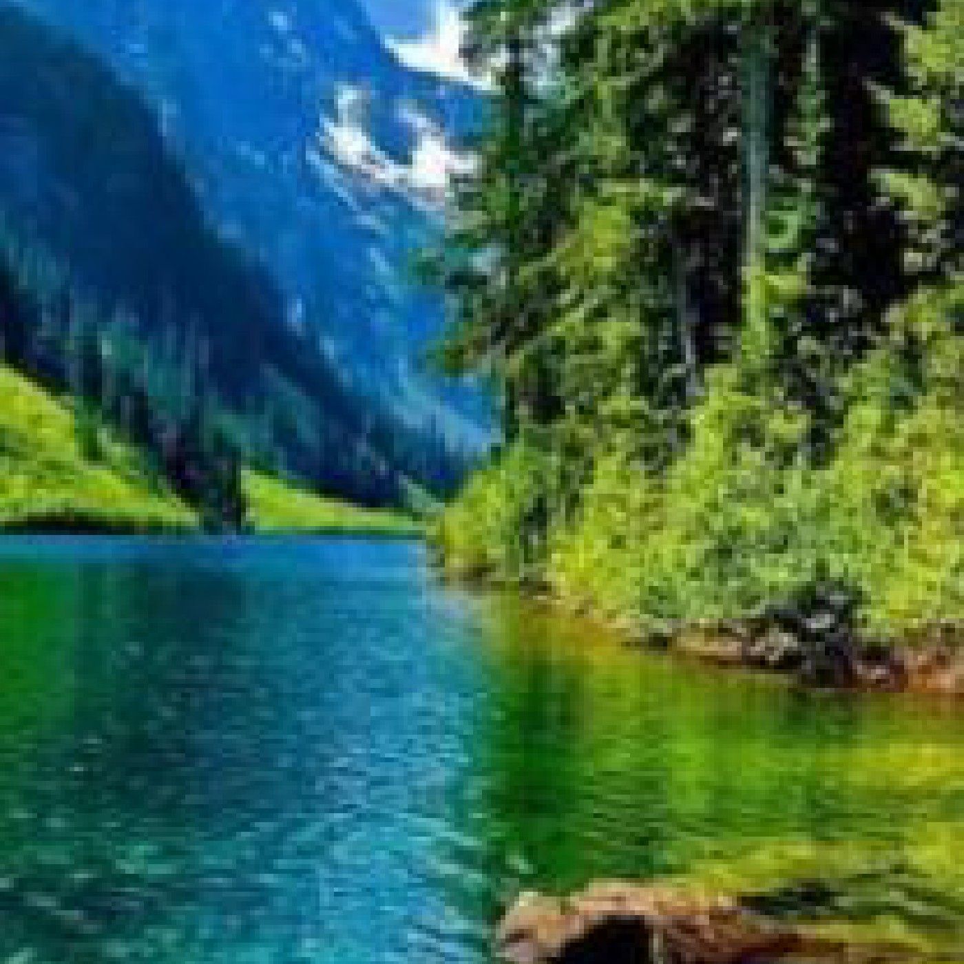 أصدقاء البيئة. ( مراعي ضيقة )