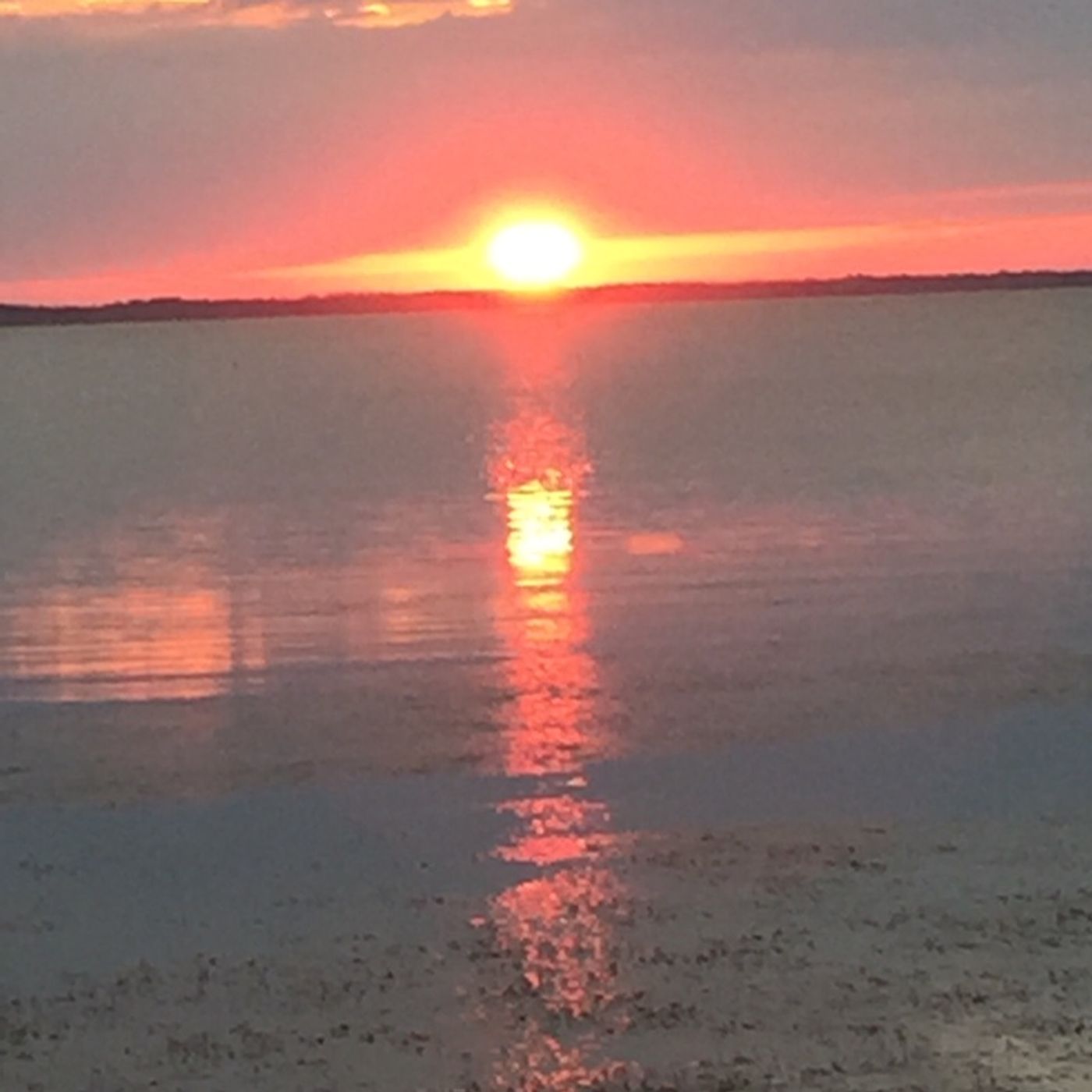 Episode 2- Covid-19 Considerations