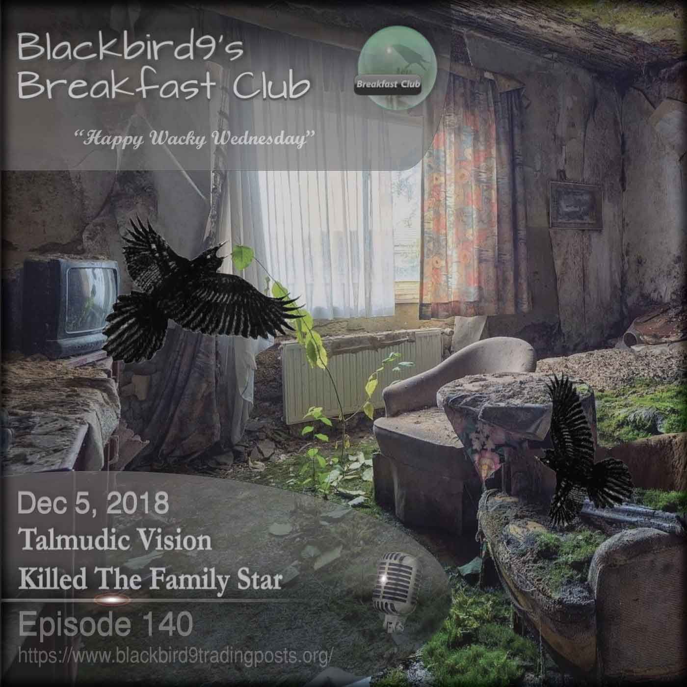 Talmudic Vision Killed The Family Star - Blackbird9 Podcast