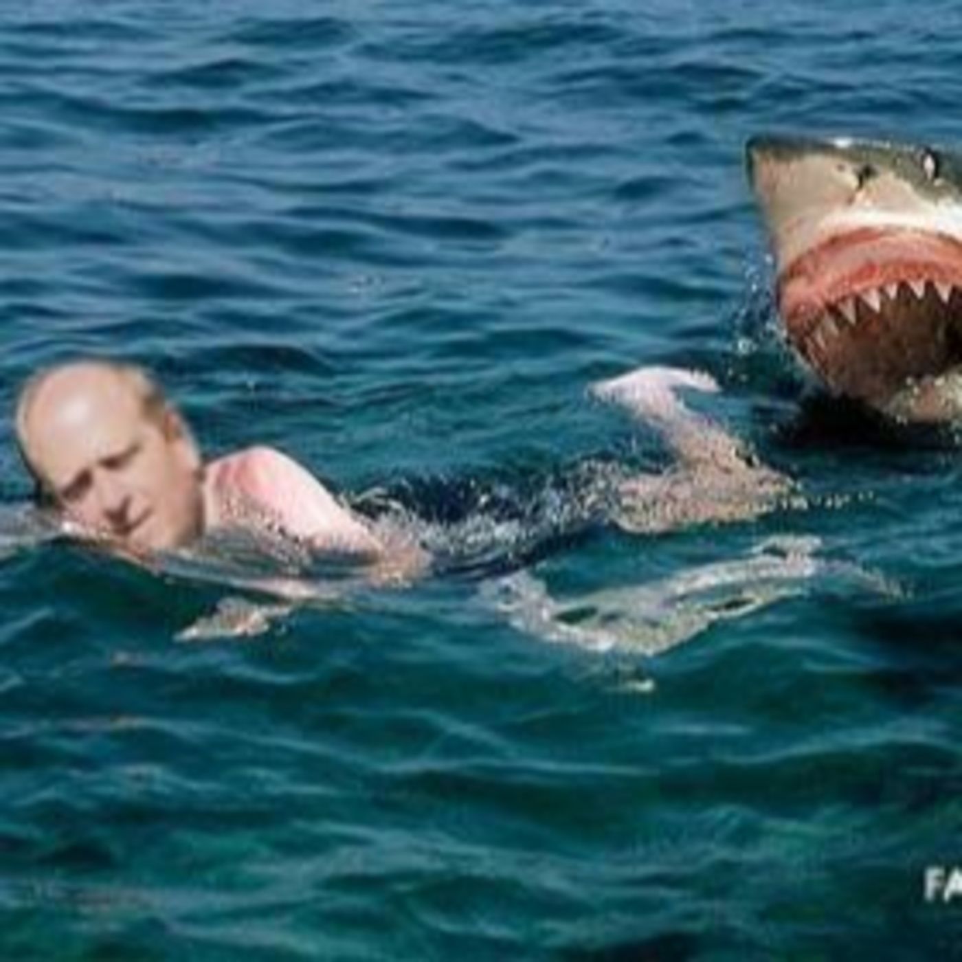 Jeffrey Voorhees - Talks Alex Kintner Jaws episode artwork