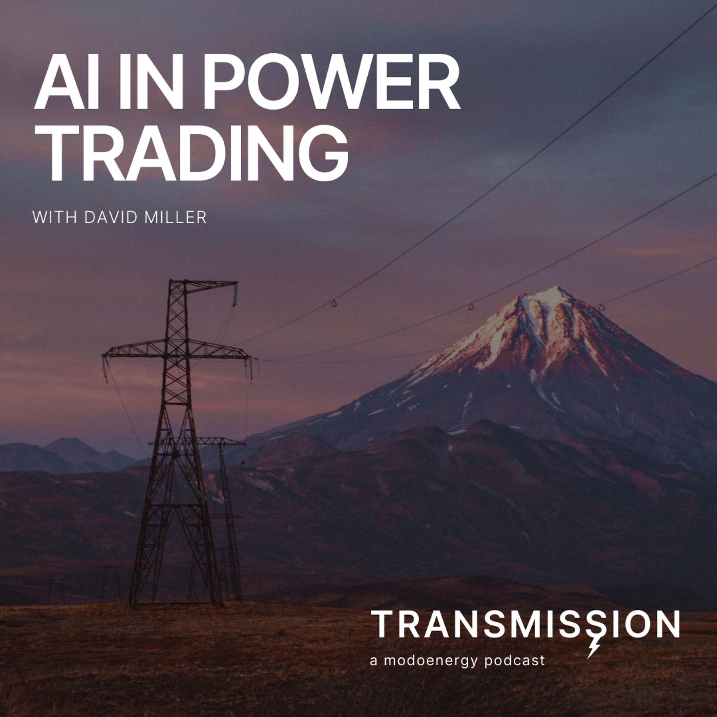 AI in Power Trading with David Miller
