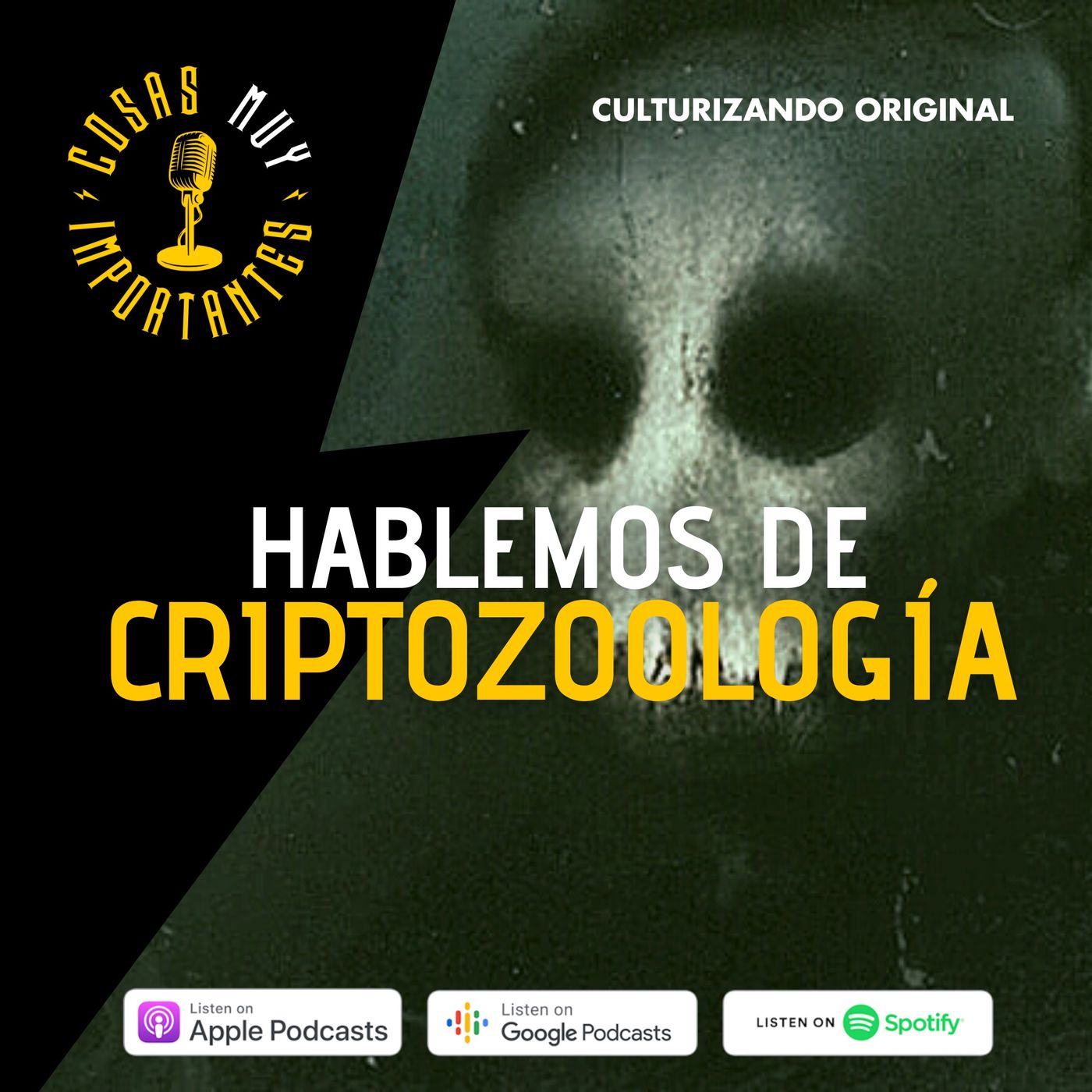 Cosas muy importantes • Historia Curiosa