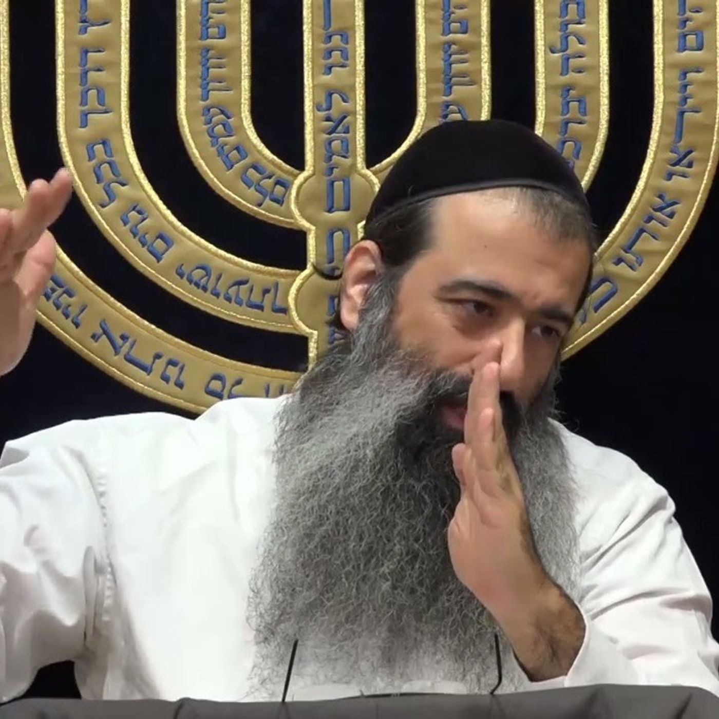 סידור הכוונות הוא פשט ולא סוד - שיעור 27 | מהכוח אל הפועל | אליו ולא למידותיו | הרב מאיר מועלם episode artwork