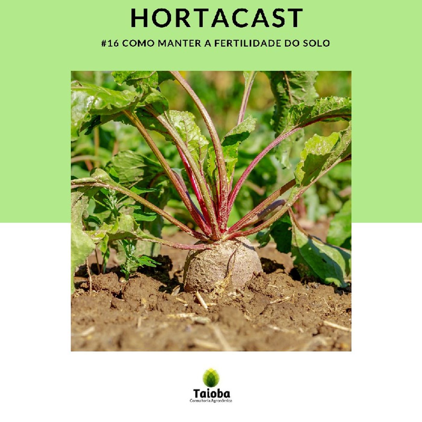 HortaCast\'s show