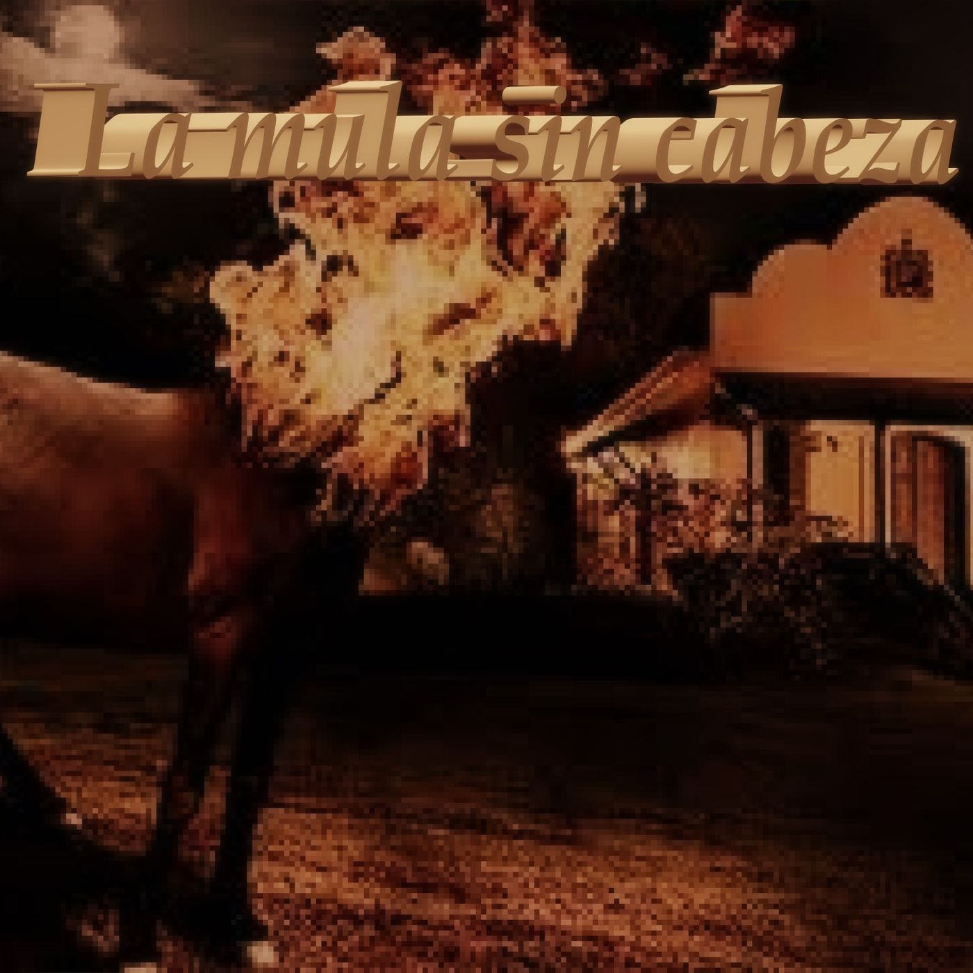 Narraciones De Un BURRO by Walter Saravia