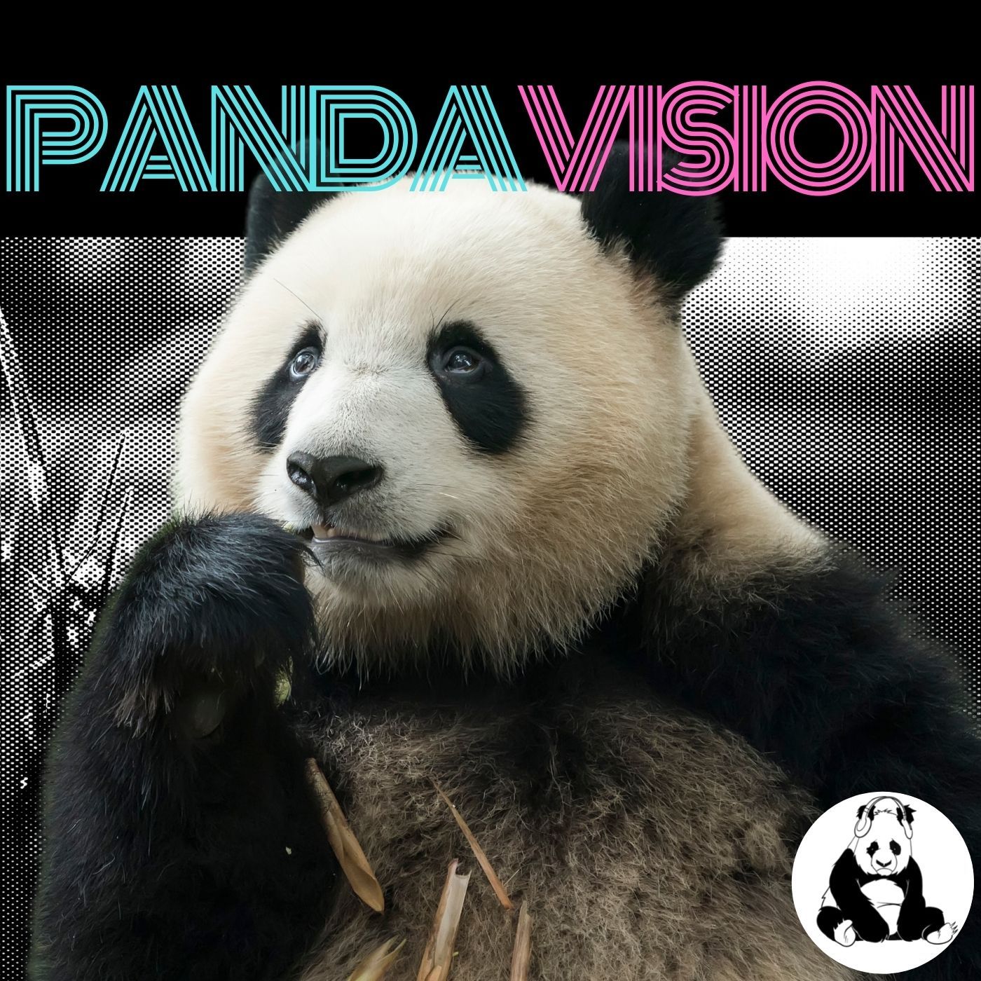 PandaVision – A TV Podcast – What We Do In the Shadows