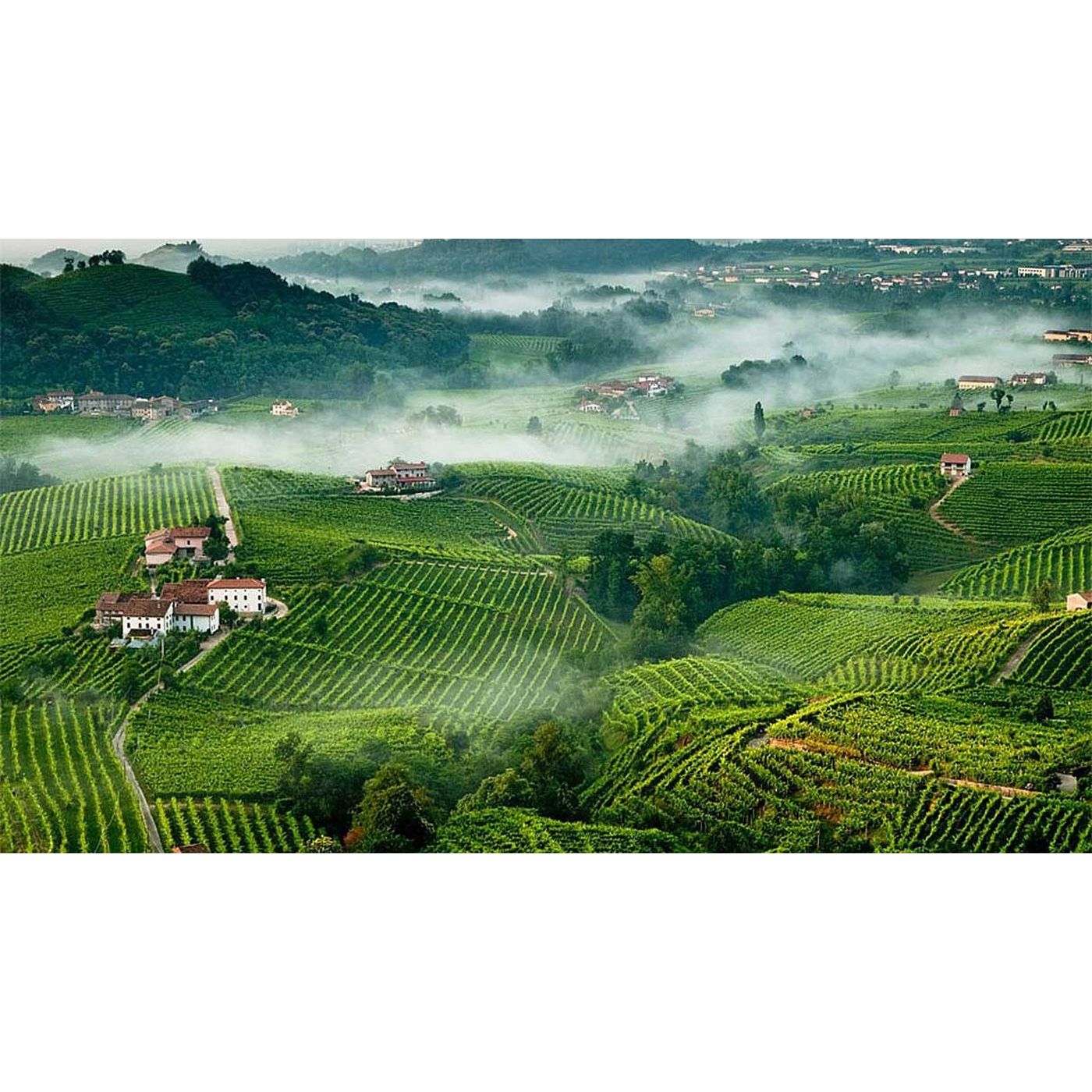 Le Colline Trevigiane del Prosecco in tre itinerari episode artwork