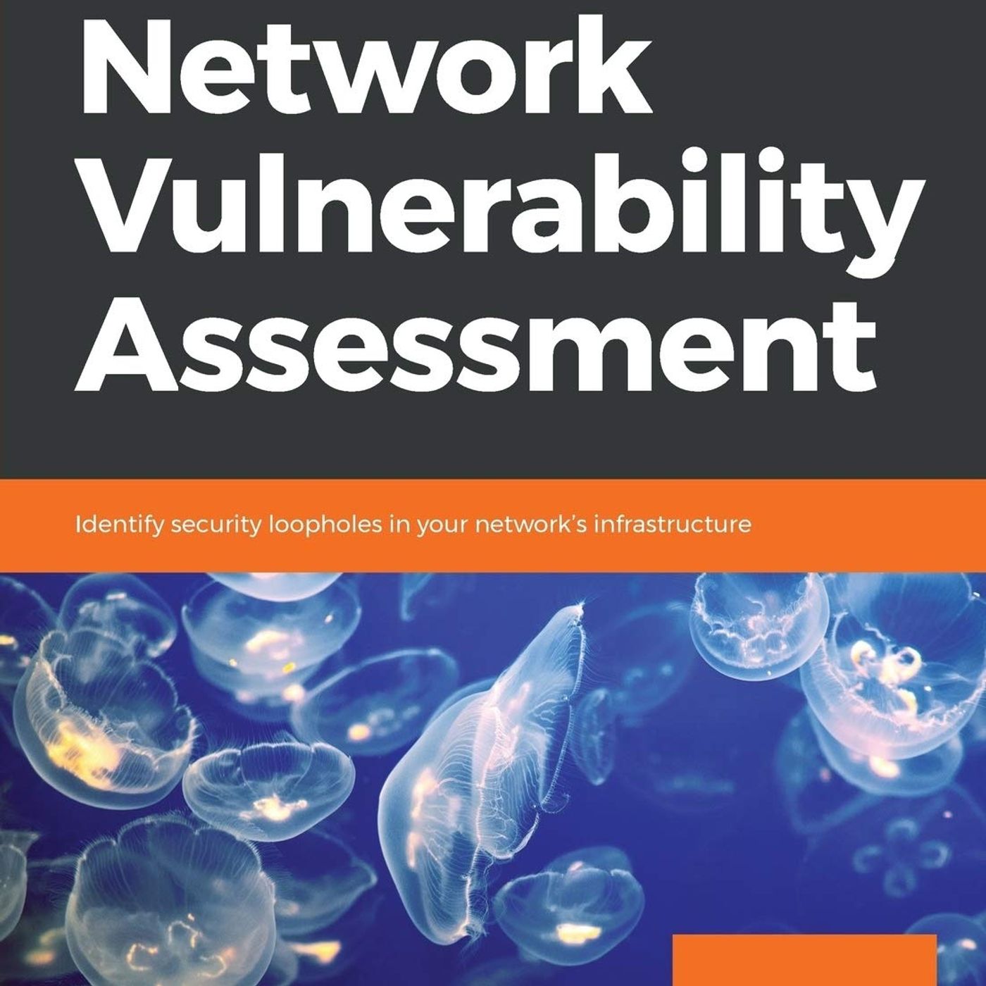 Network Vulnerability Assessment: Identify security loopholes in your network's infrastructure