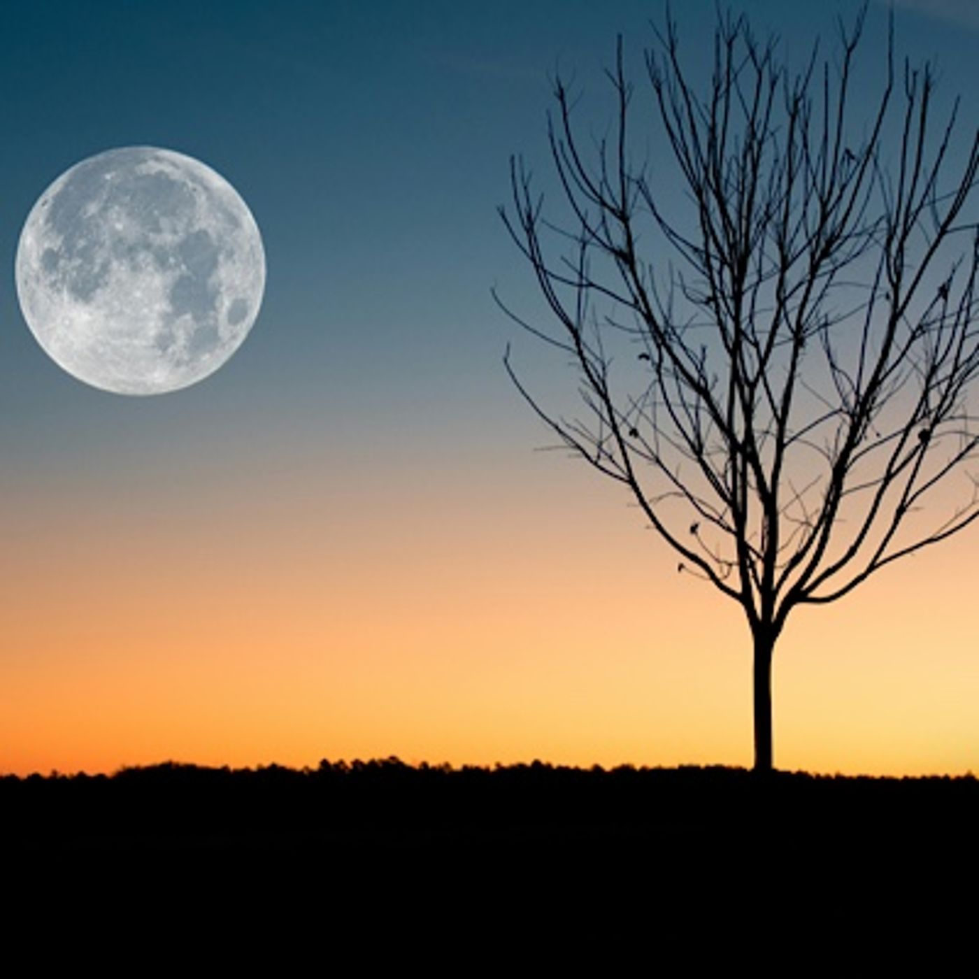 Episode 1636 - Jarvis Kingston Texas U.S. Senate Primary Election Results James Talarico Ecuador South Africa New Zealand NATO Turkey Iran ! Episode 1636 - Jarvis Kingston Texas U.S. Senate Primary Election Results James Talarico Ecuador South Africa New Zealand NATO Turkey Iran !