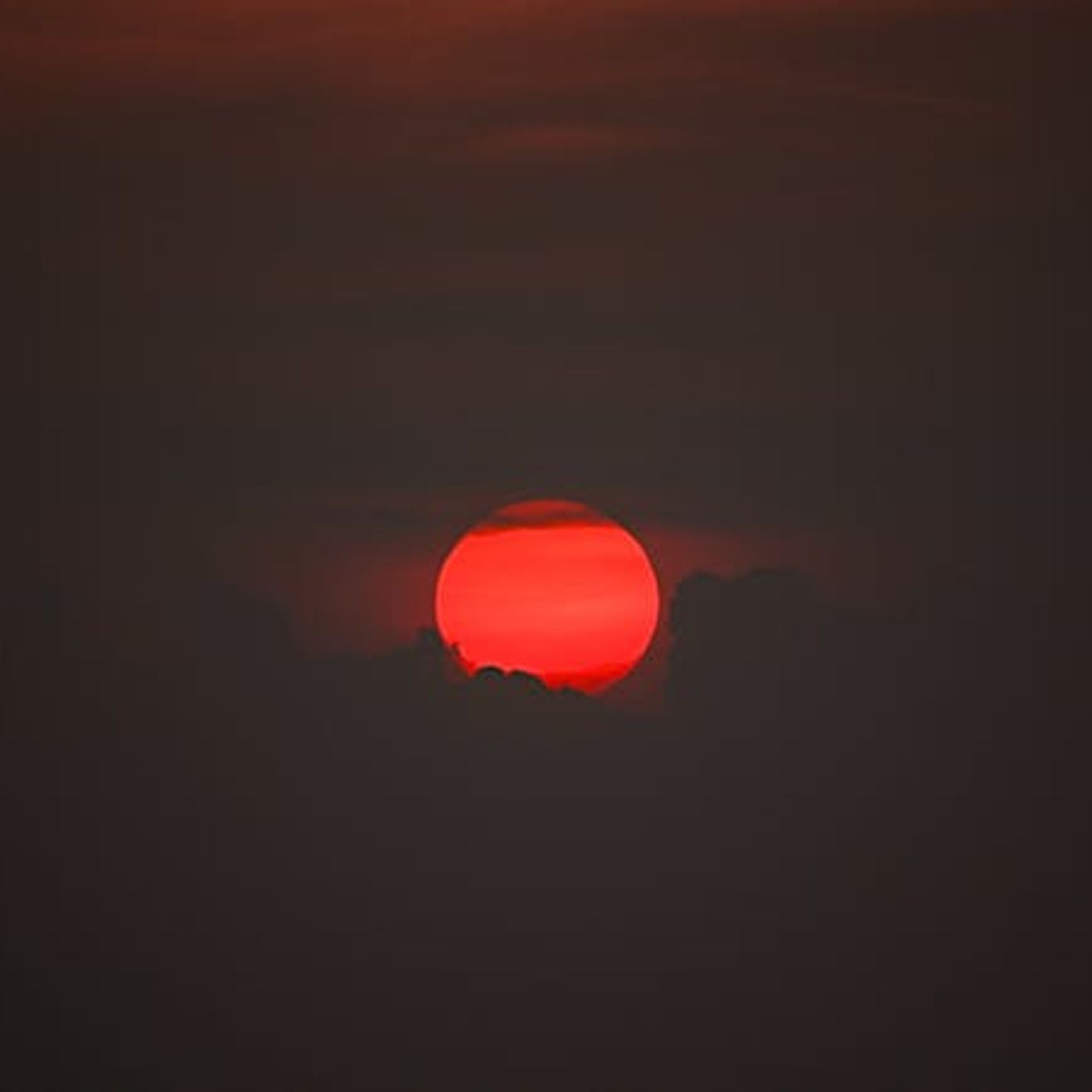 Why Did Jesus Choose Judas?