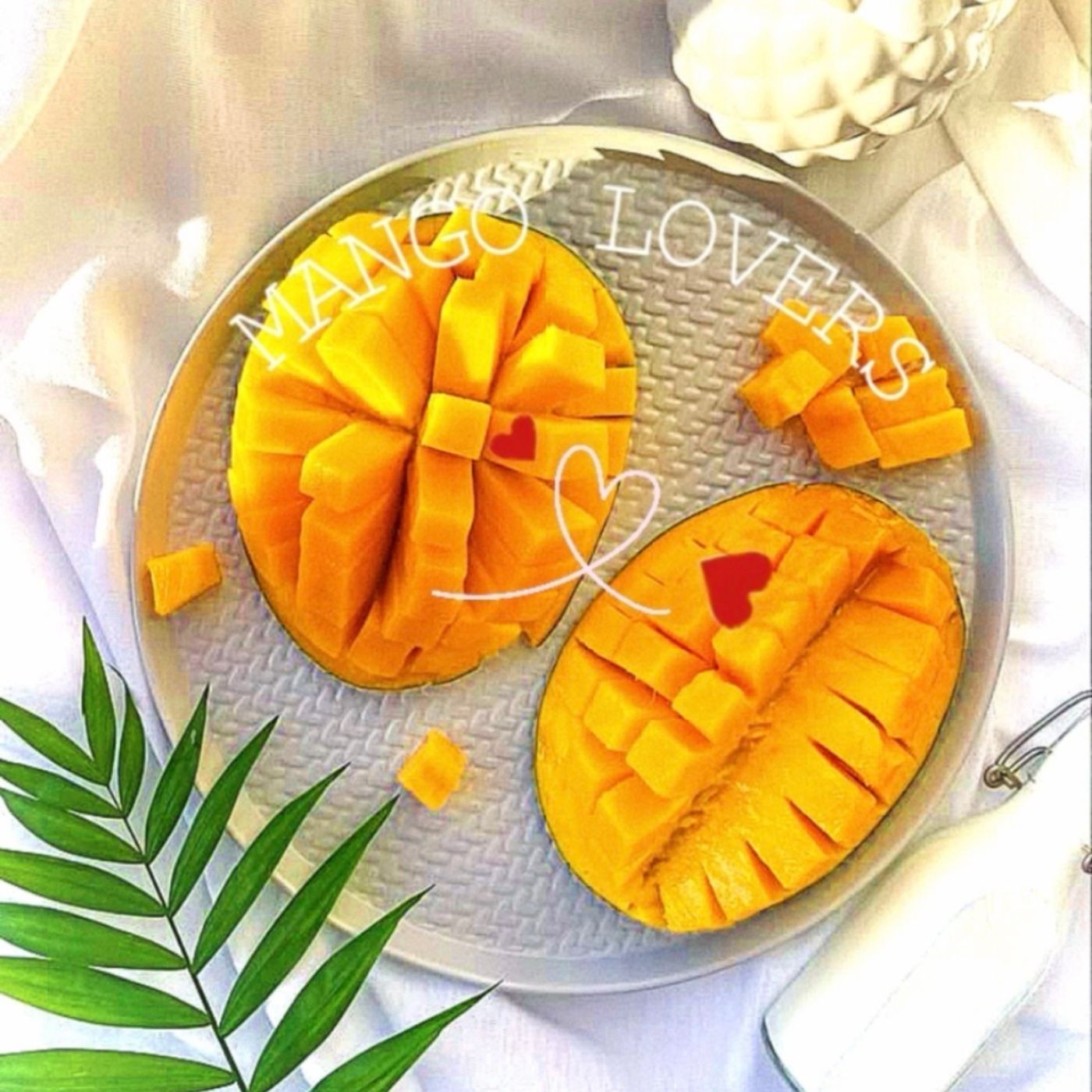 Mango Lovers