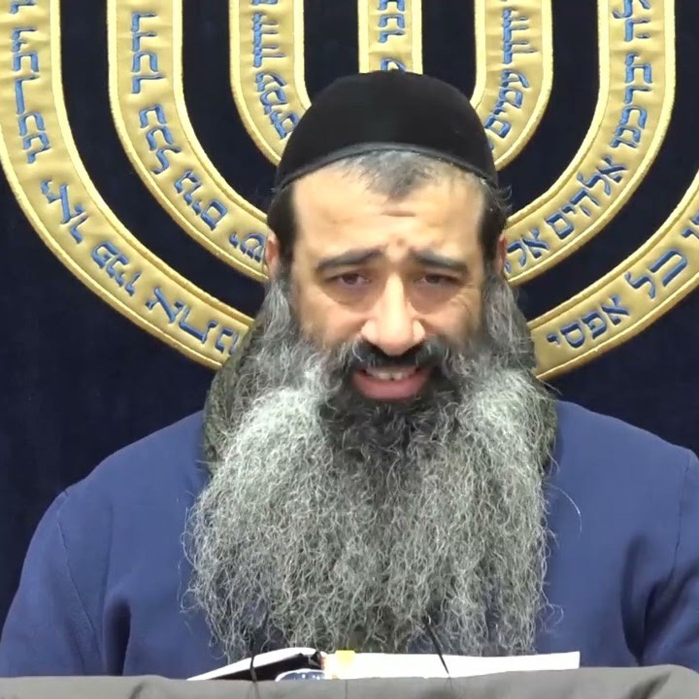 איך לצייר שכל פשוט - שיעור 35 | בערכו ובערכנו | אליו ולא למידותיו | הרב מאיר מועלם episode artwork