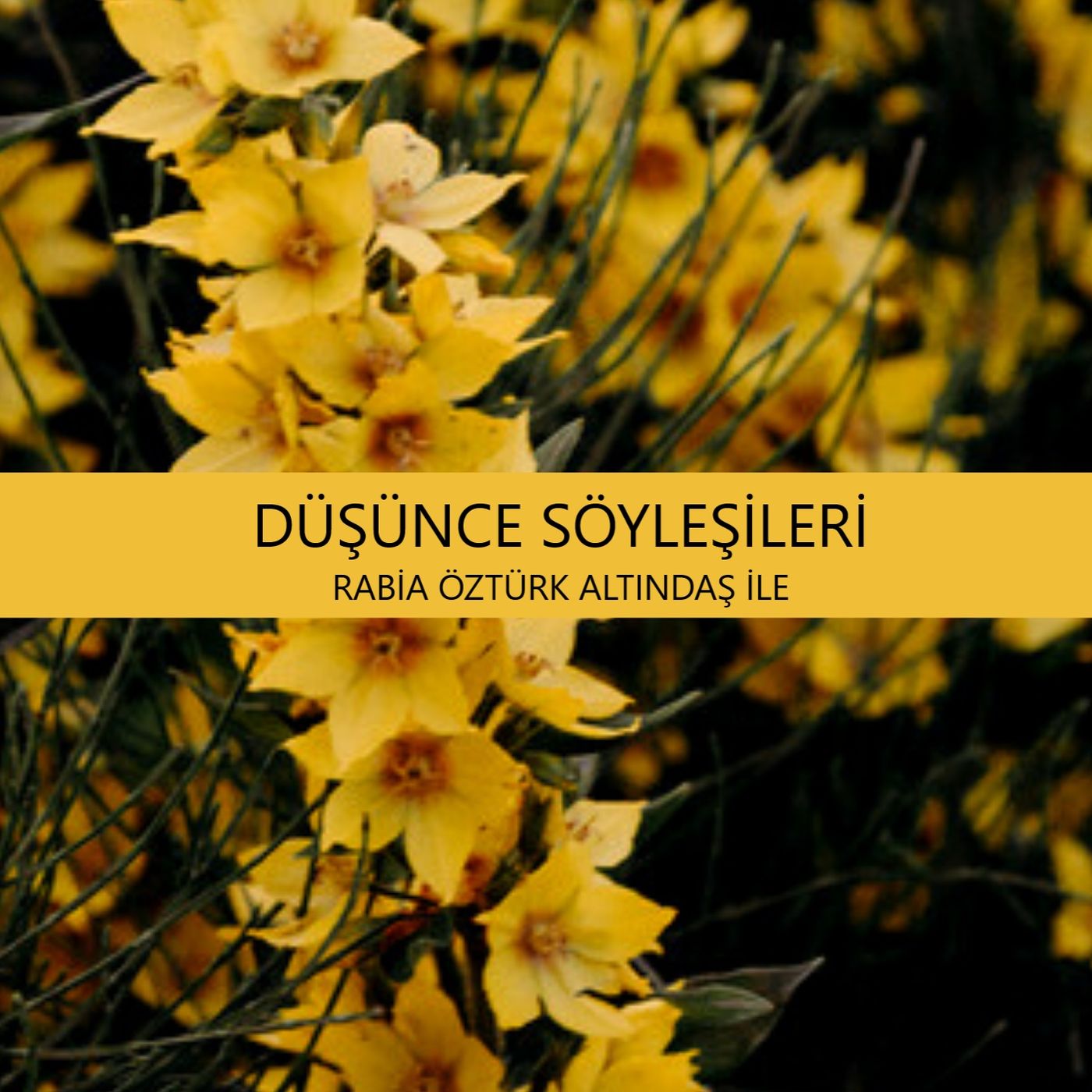 Düşünce Söyleşileri
