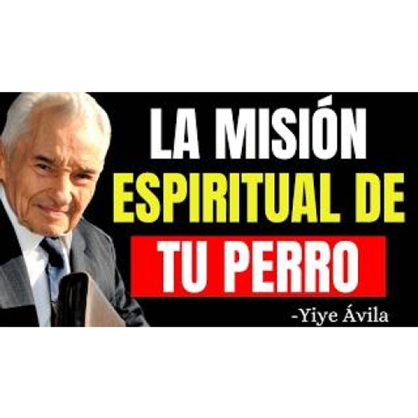 ESTA ES LA MISIÓN ESPIRITUAL DE TU PERRO SEGÚN LA BIBLIA, ¿Tienes uno en casa? - Predicas Cristianas