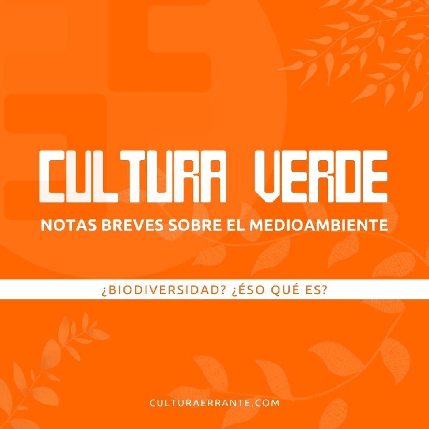 Cultura Errante