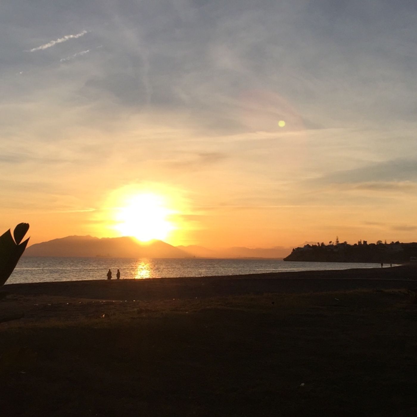 El show de croquetasesina (CHAPTER ONE)