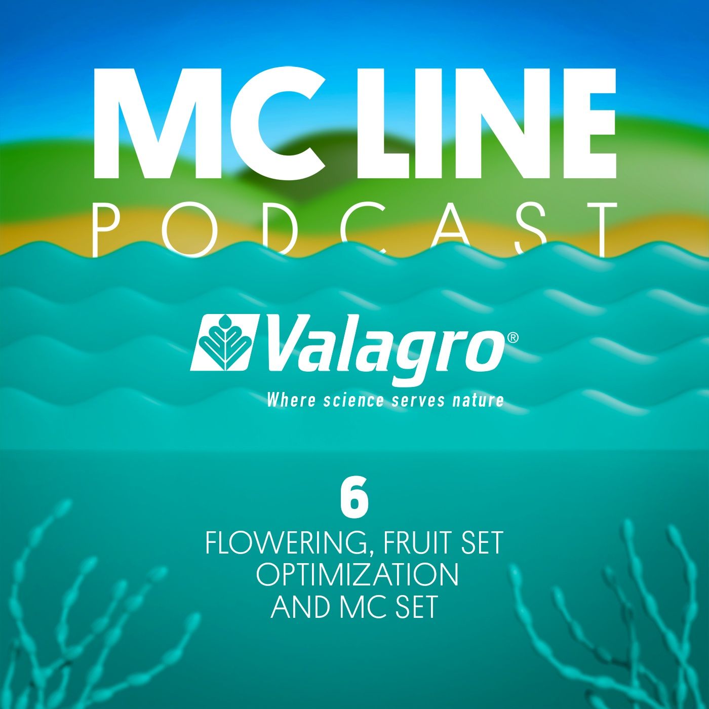 06. Flowering, fruit set optimization and MC SET