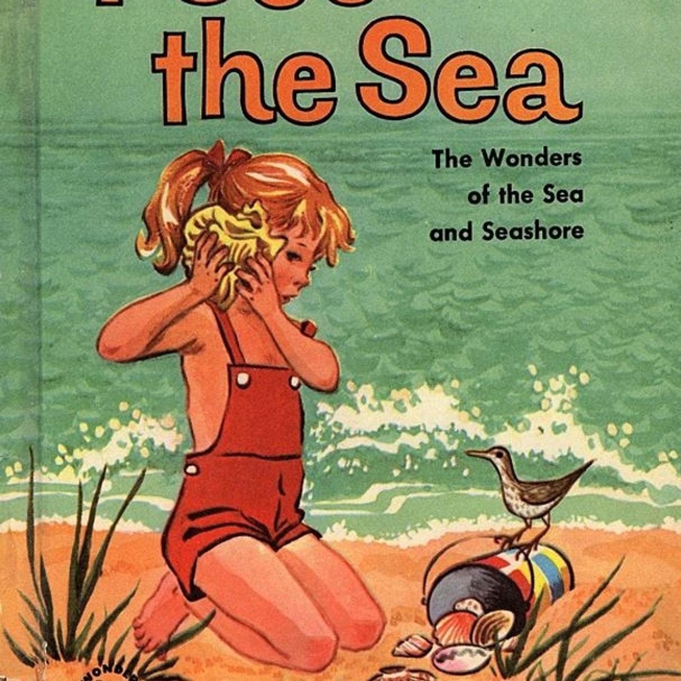I See the Sea