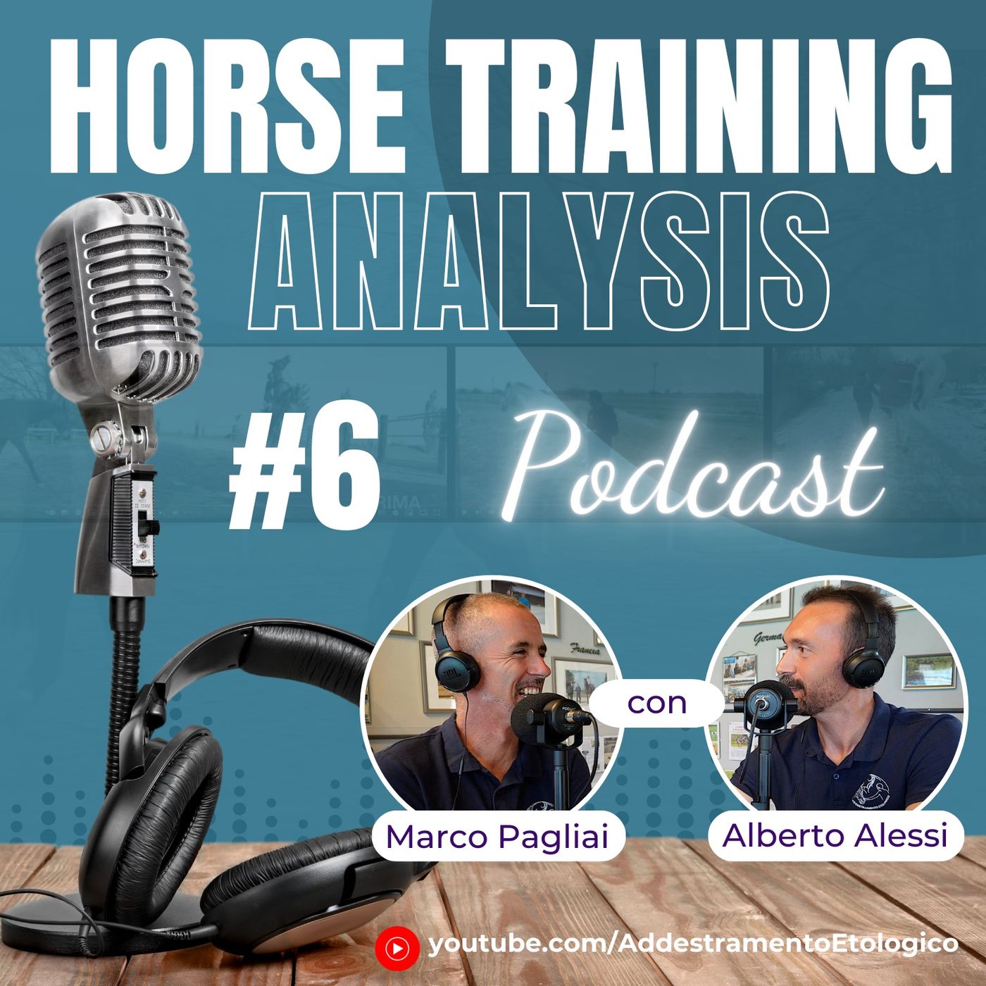 Horse Training Analysis