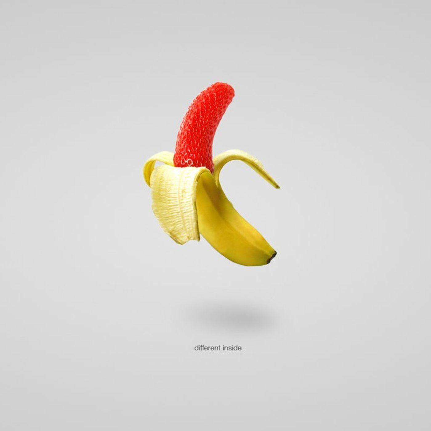 The Diversity Report