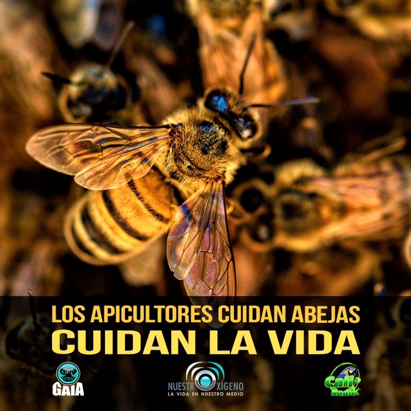 2022 Nuestro Oxigeno 02- Febrero