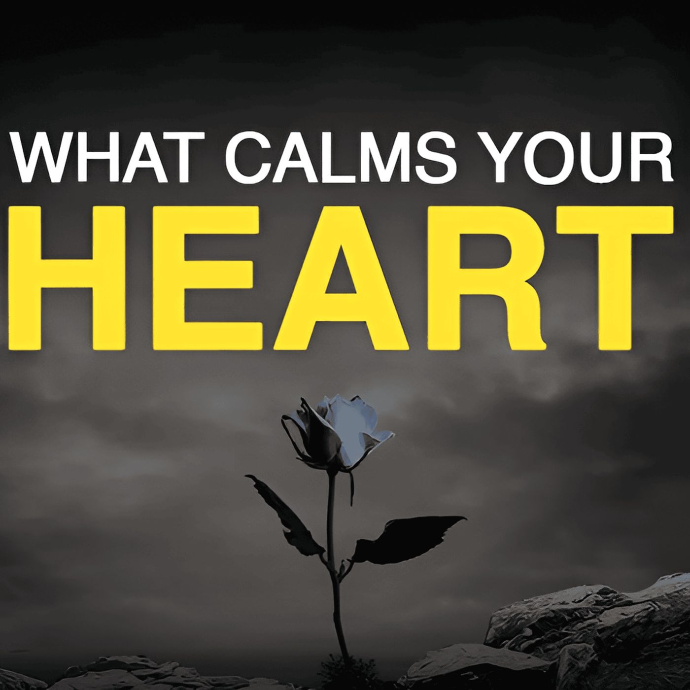 This Will Calm Your Heart | Mufti Menk Podcast