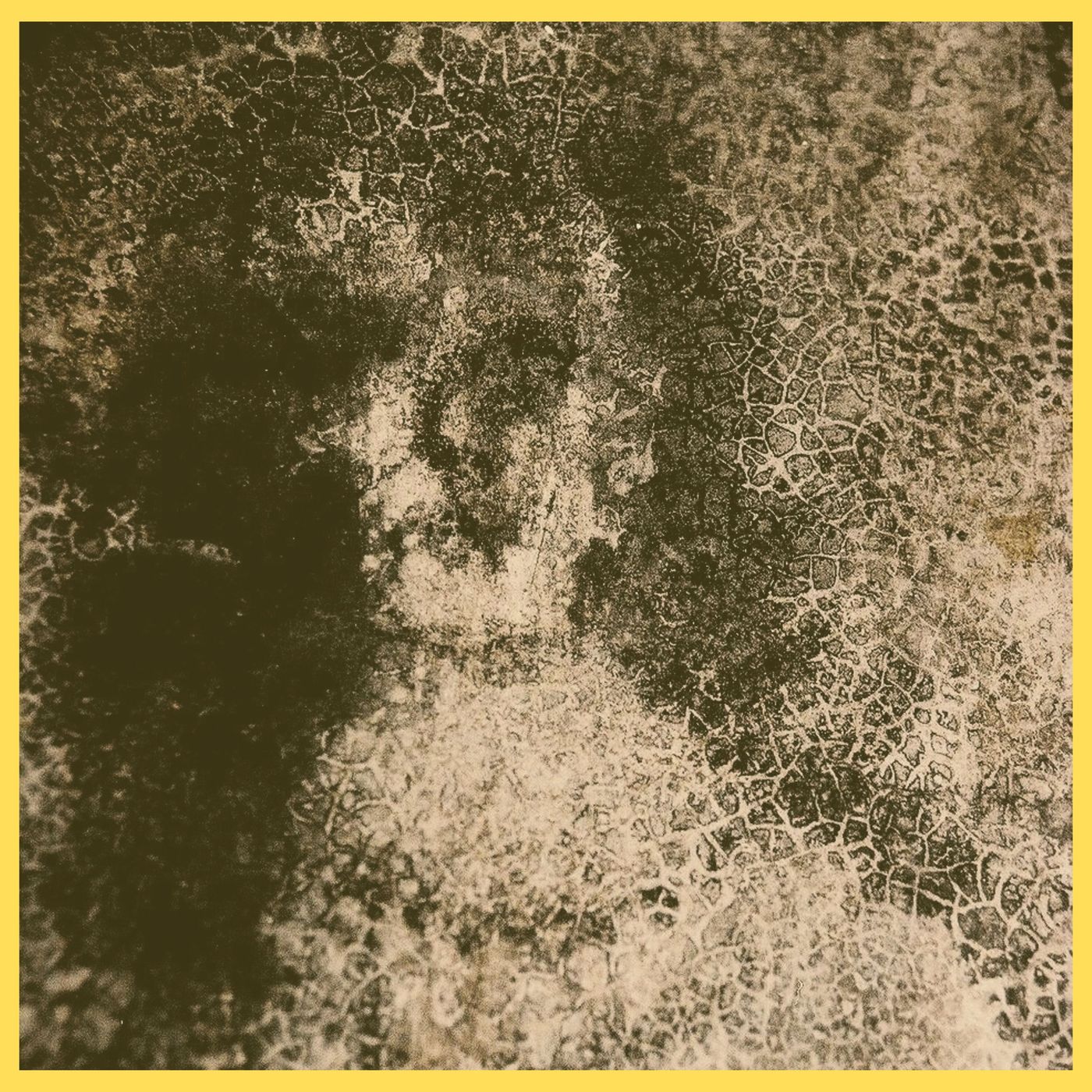 cover of episode The House of Faces