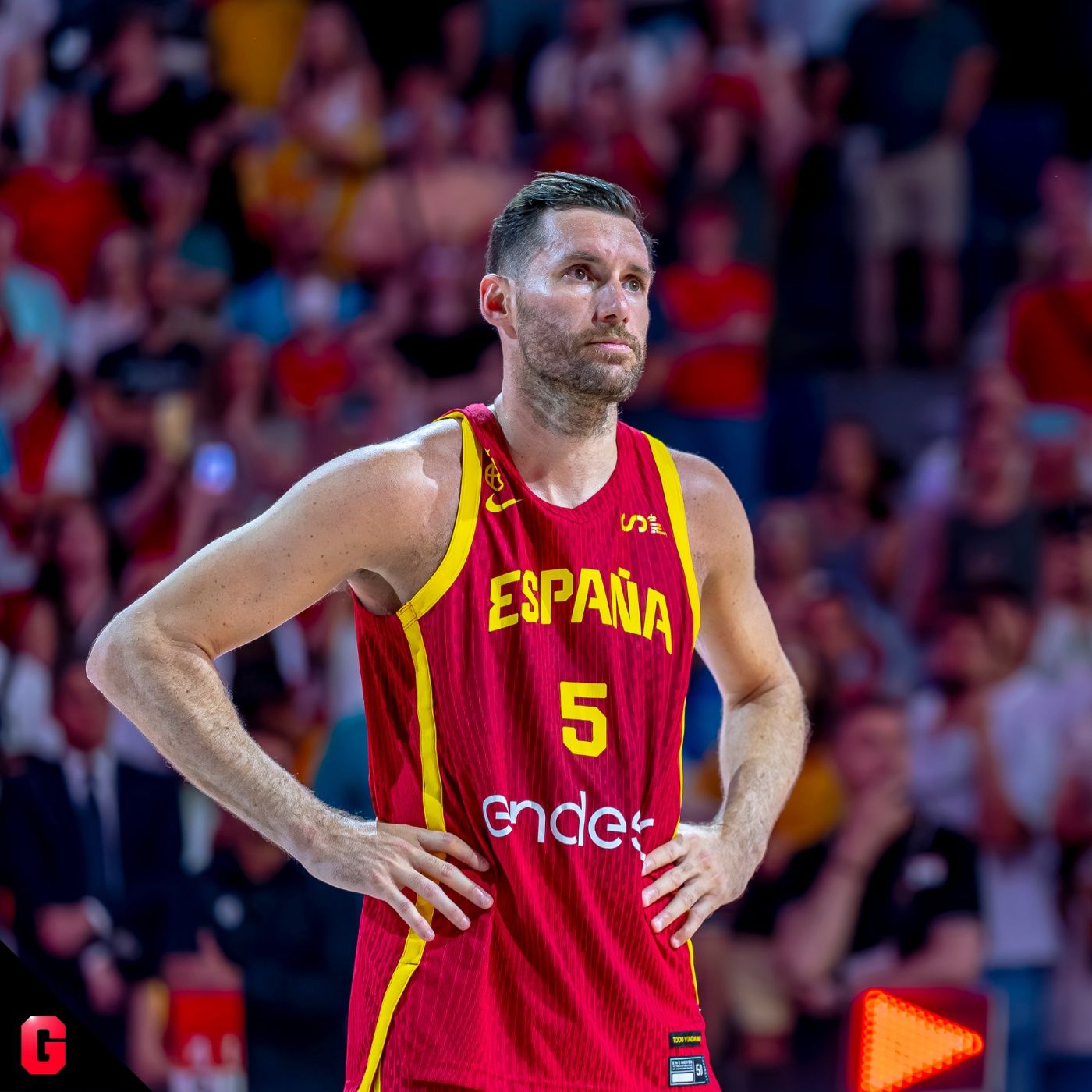 Gigantes Daily, baloncesto al día