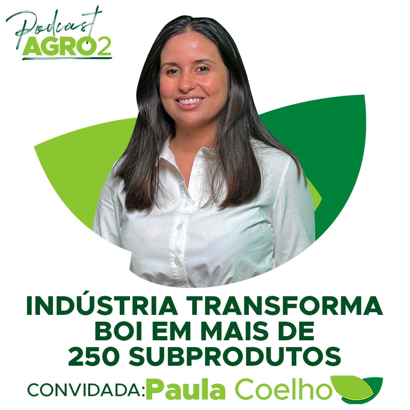 Da carne ao pelo: indústria brasileira fabrica mais de 250 subprodutos a partir dos bovinos #319 episode artwork