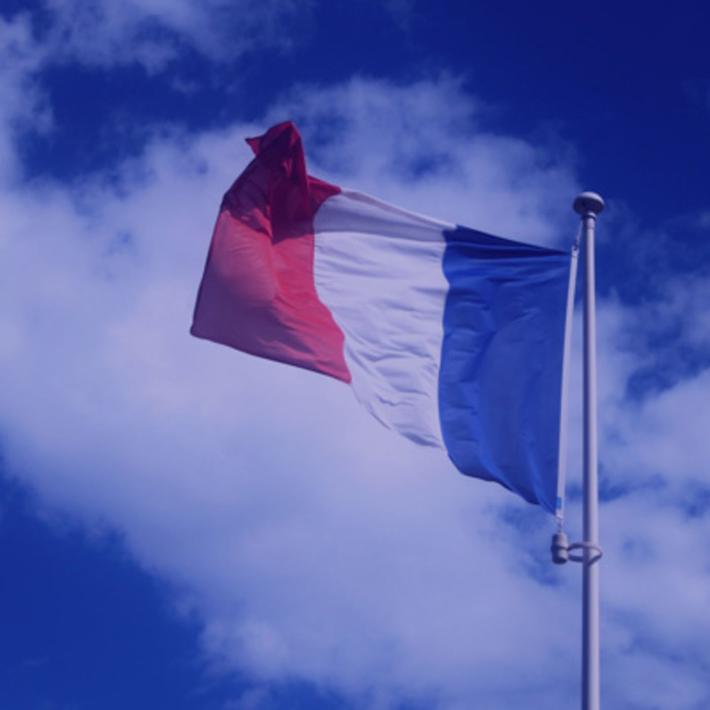 Les voix du Digital
