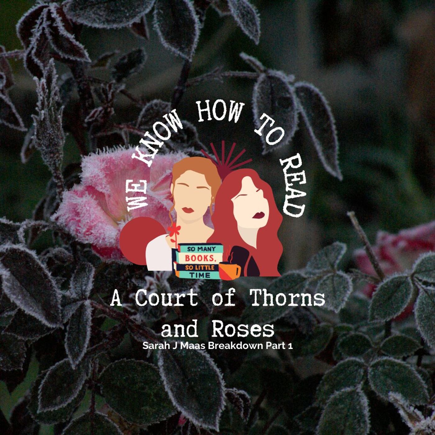 We Know How to Read: S8E15 : A Court of Thorns and Roses episode artwork