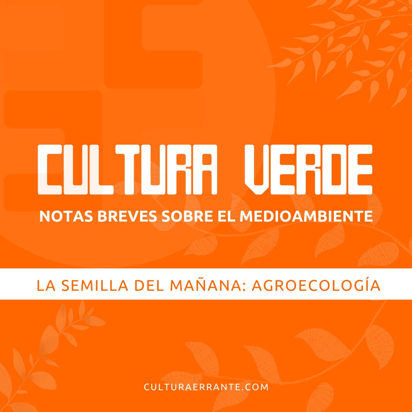 Cultura Errante