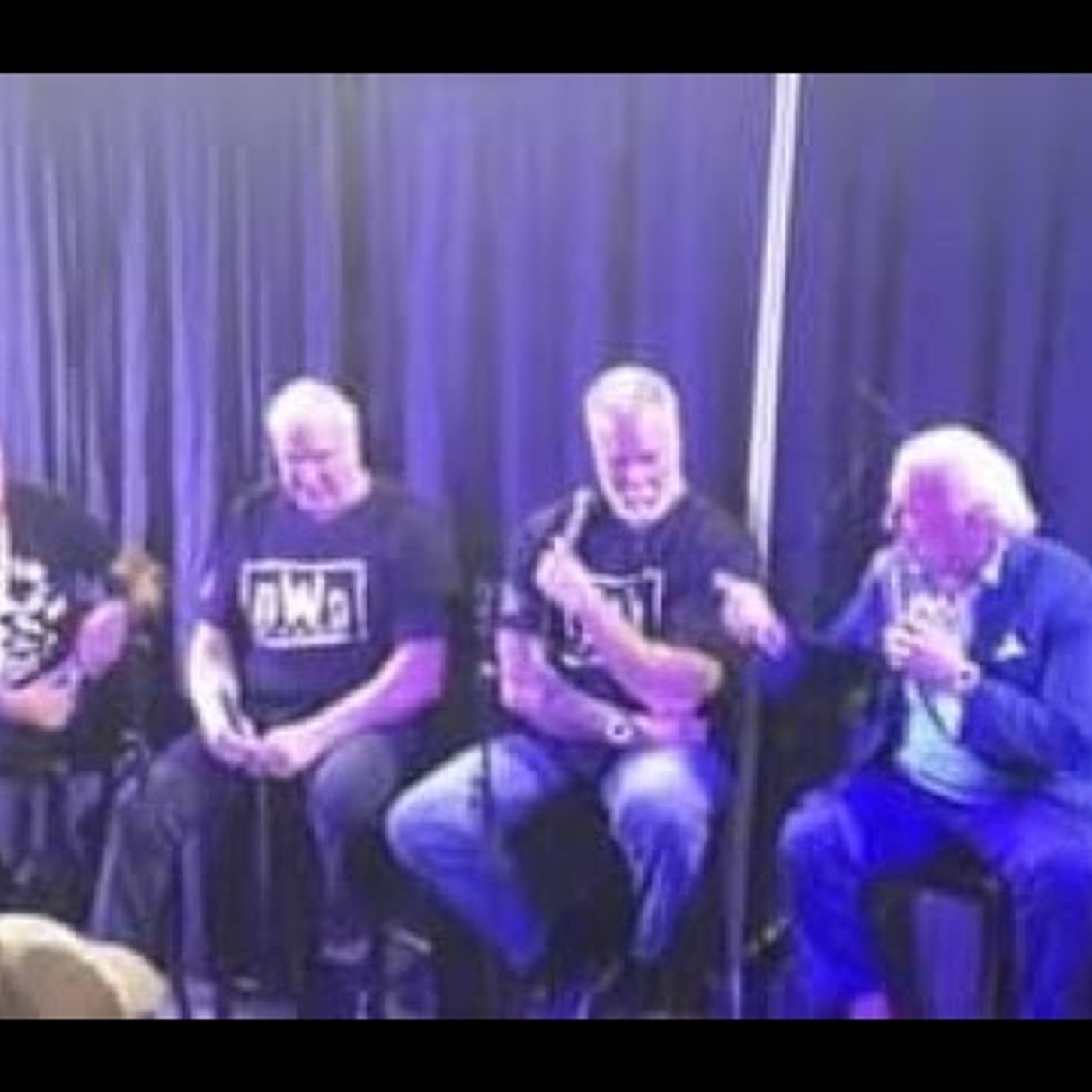 Ric Flair, Kevin Nash and Scott Hall -"Legends Unleashed: The Wrestling Icons Chronicles"